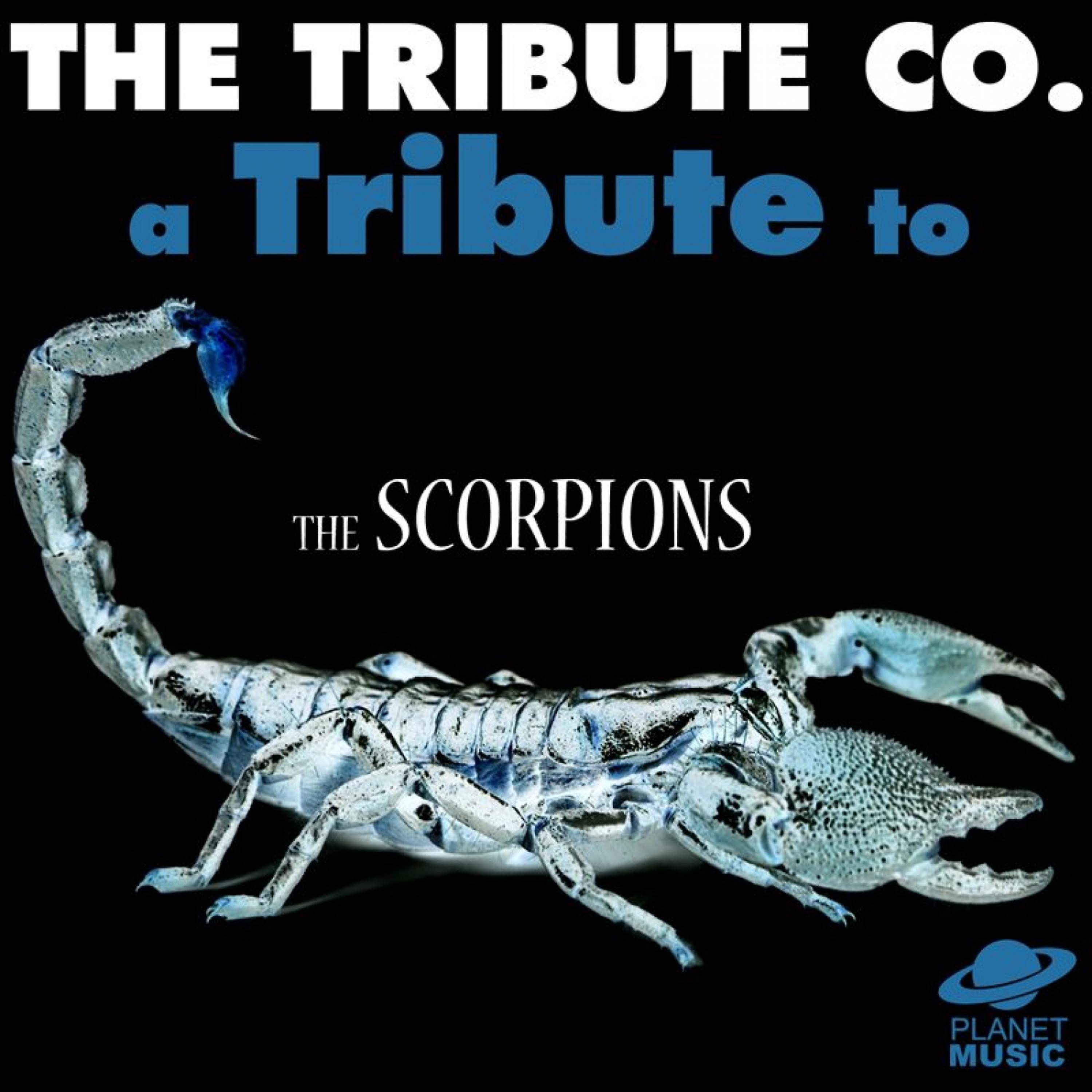 Постер альбома A Tribute to the Scorpions