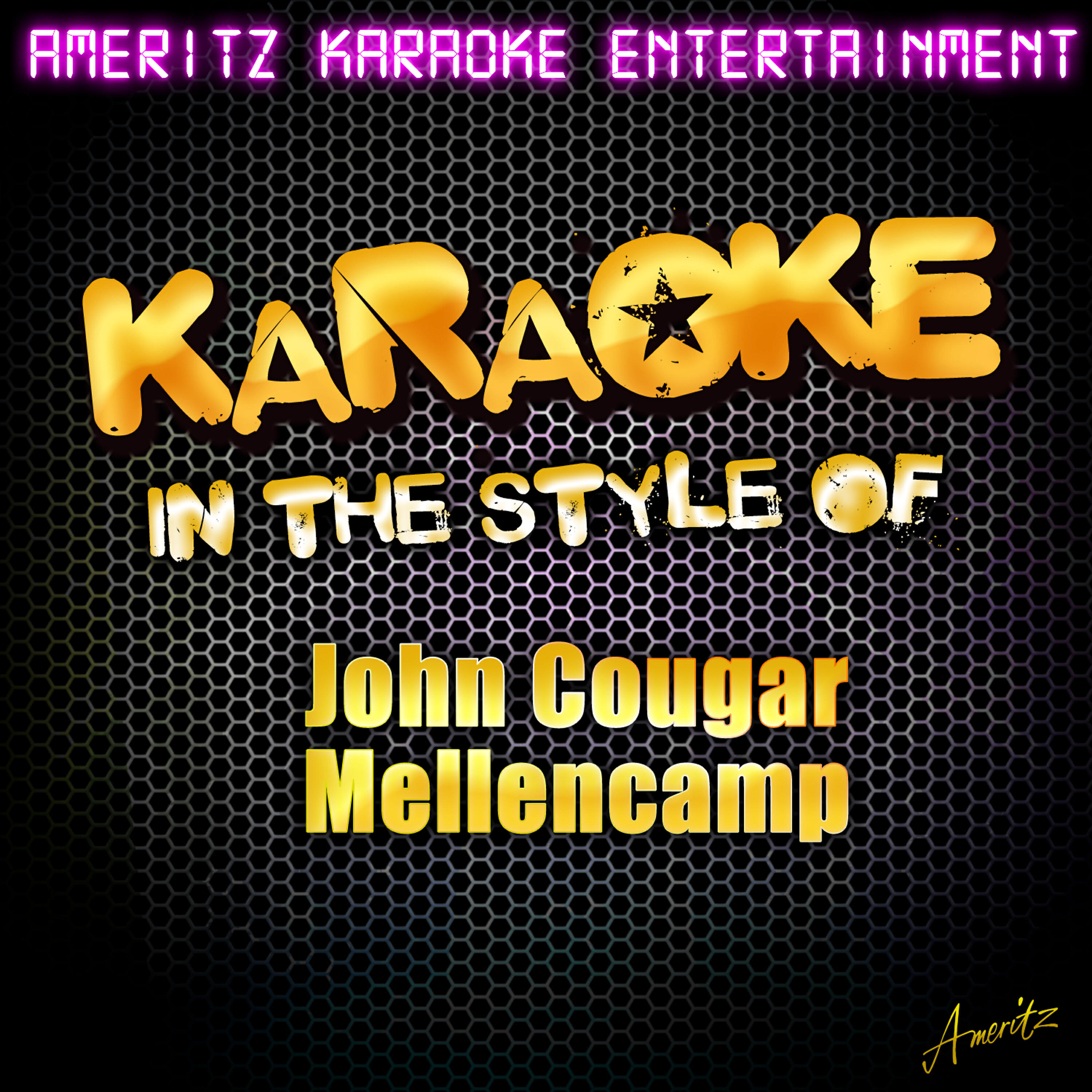 Ameritz Karaoke Entertainment - Rumbleseat (Karaoke Version)