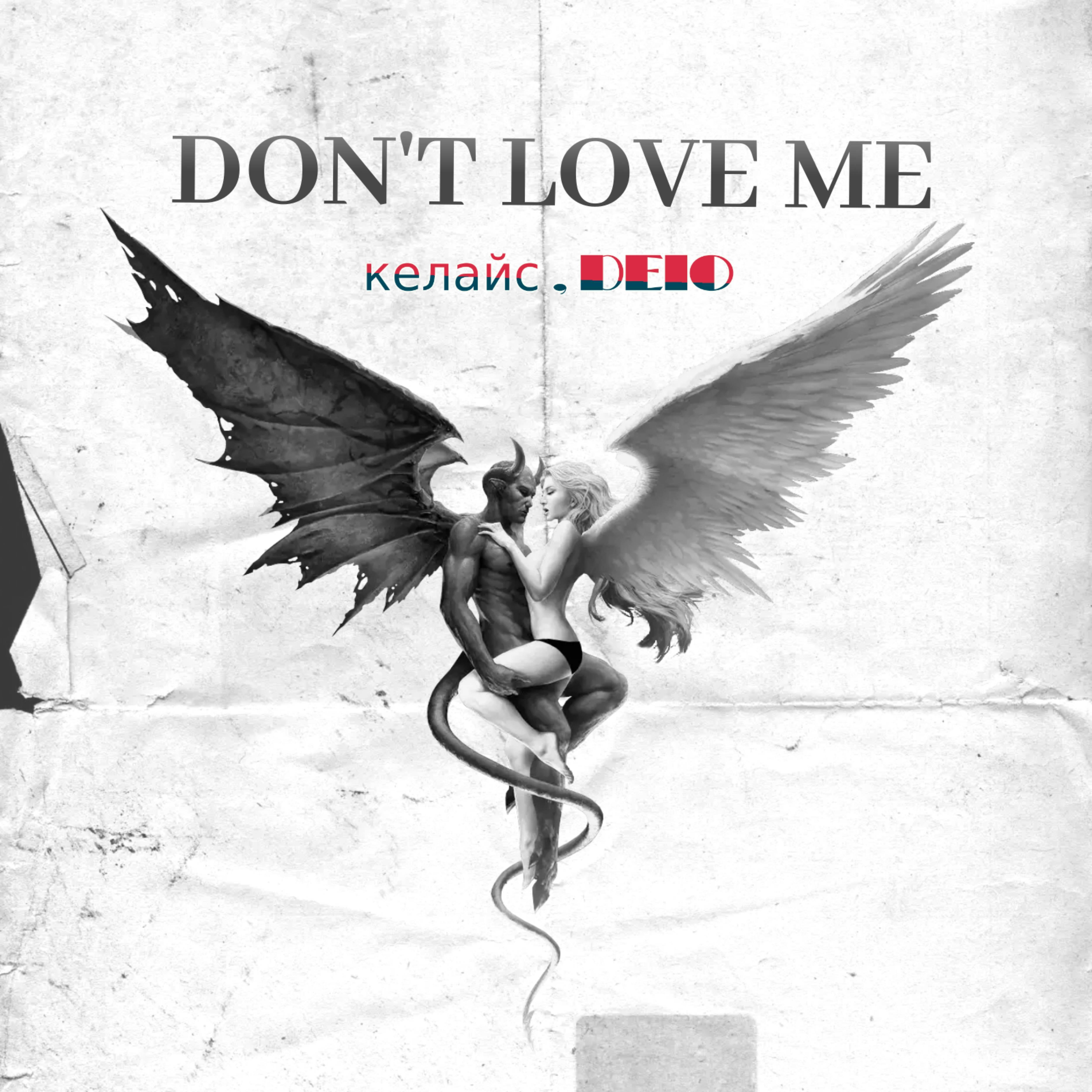 Постер альбома Dont Love Me