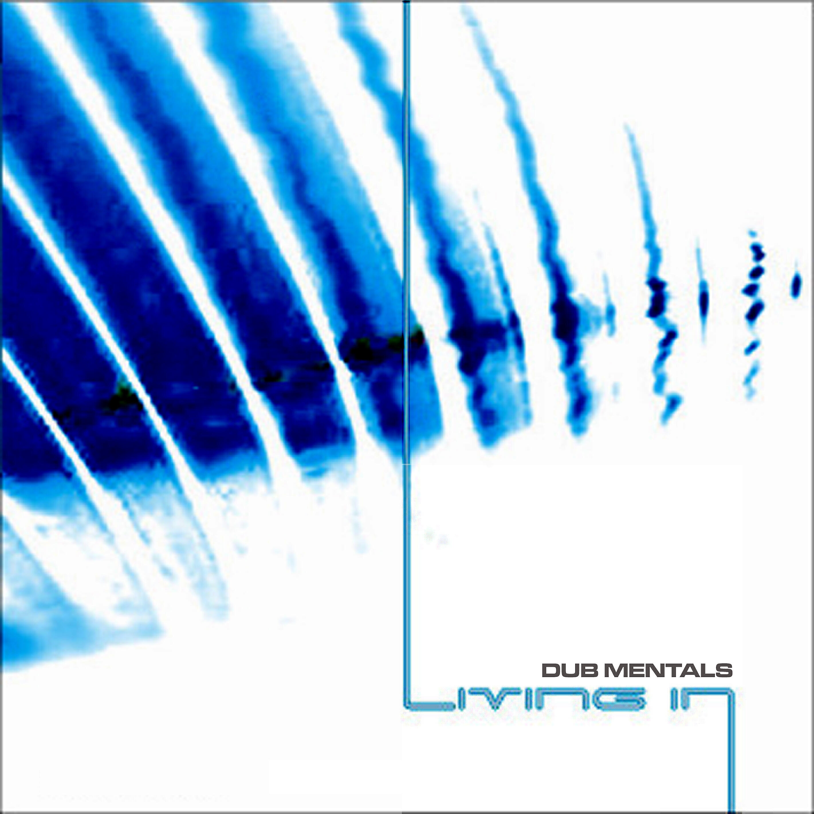 Dub Mentals - Reflexions