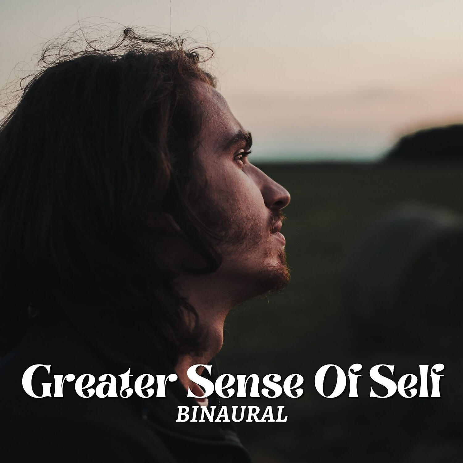 Binaural Beats System - Astute Temperament