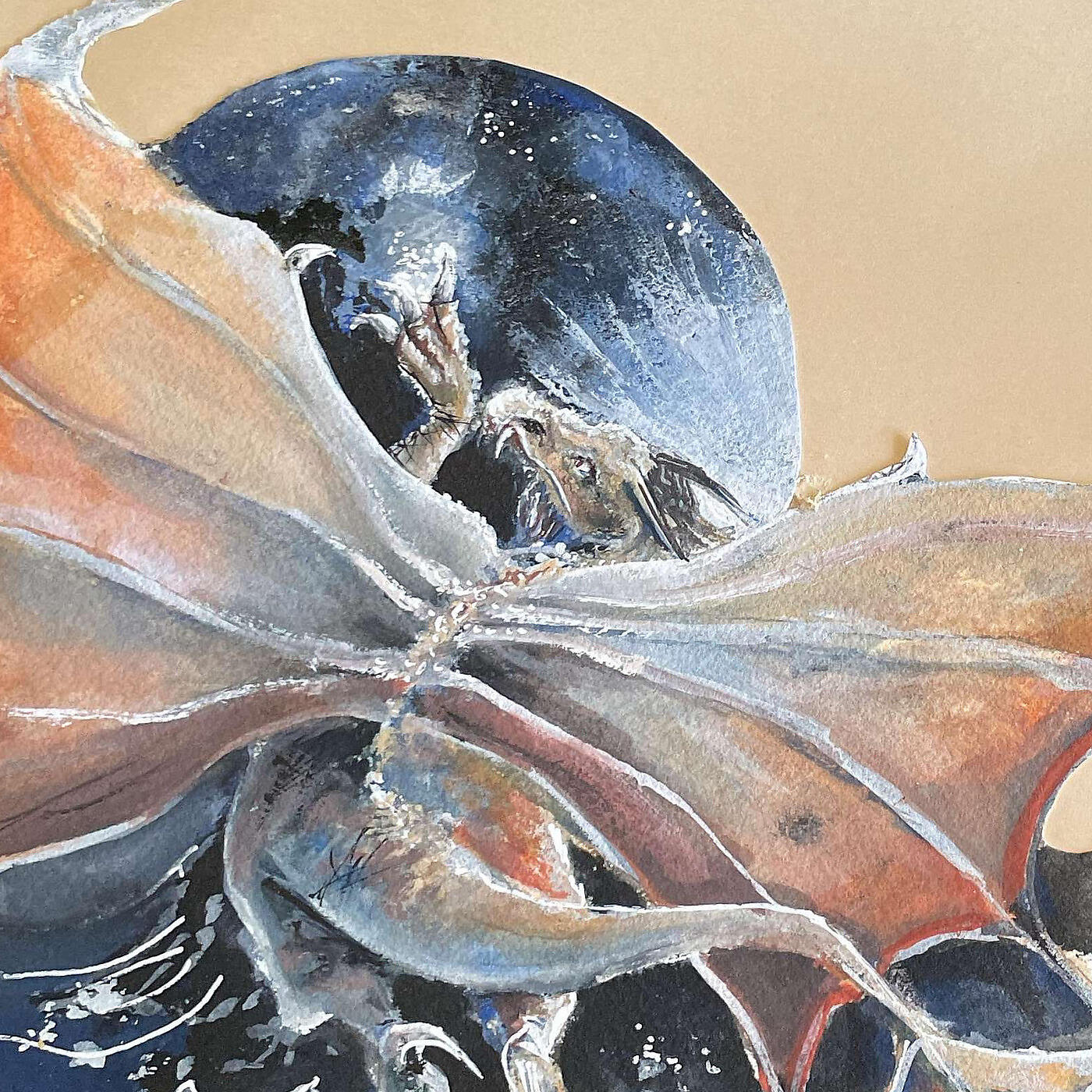 Cats and Dragons - Just for You