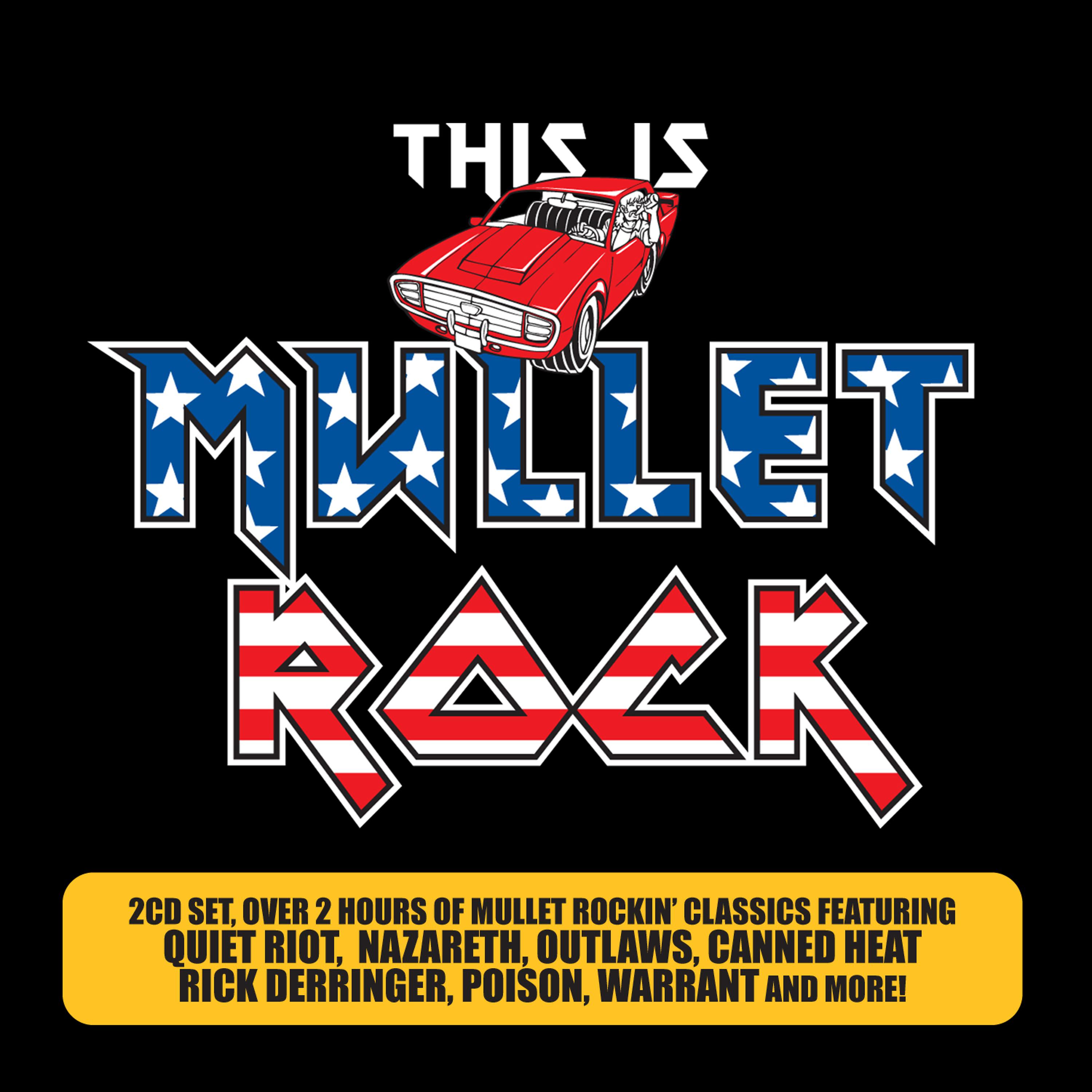 Постер альбома This is Mullet Rock