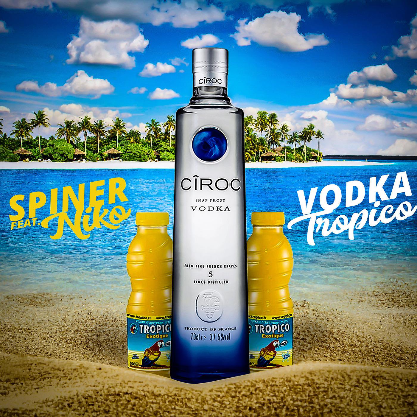 Постер альбома Vodka Tropico
