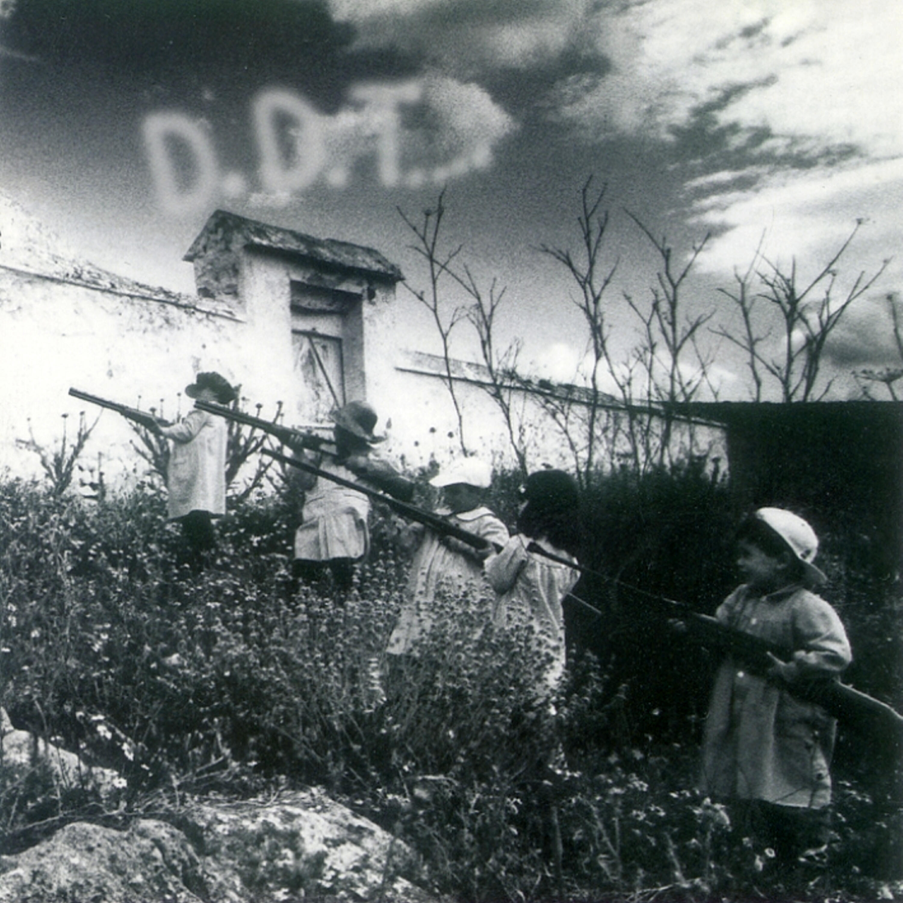 DDT - Ha Caido el Muro