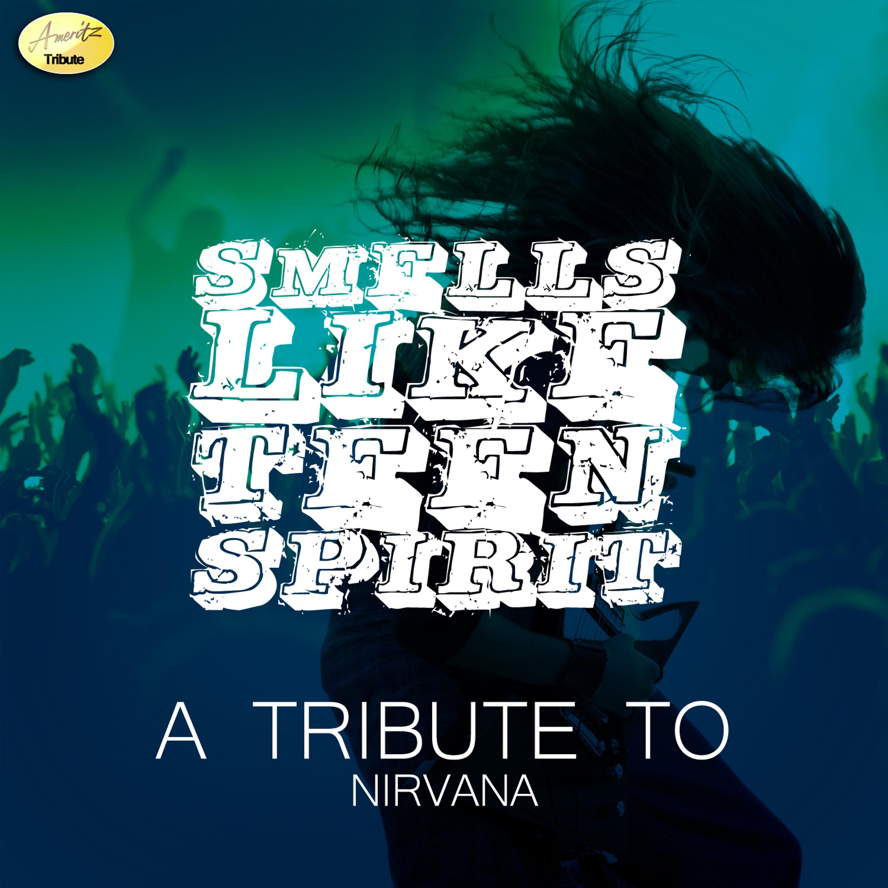 Постер альбома Smells Like Teen Spirit (A Tribute to Nirvana)