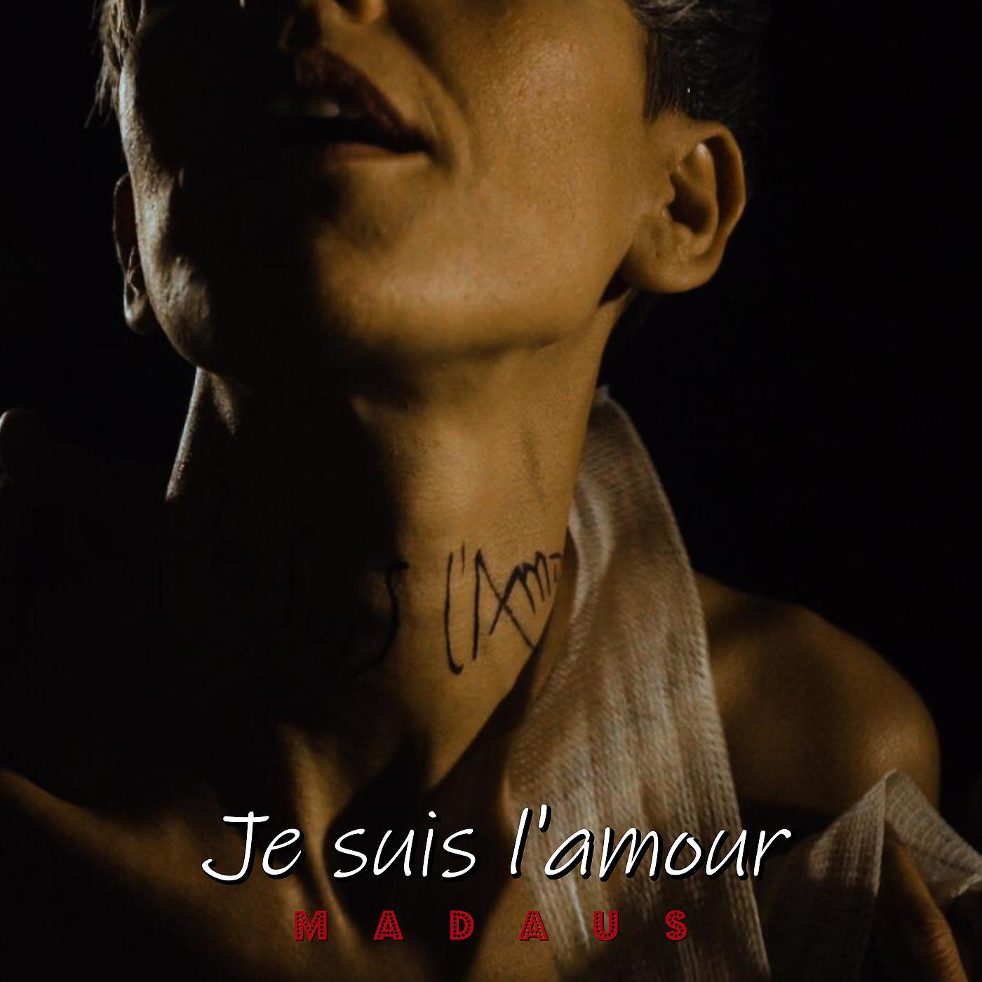 Постер альбома Je suis l'amour