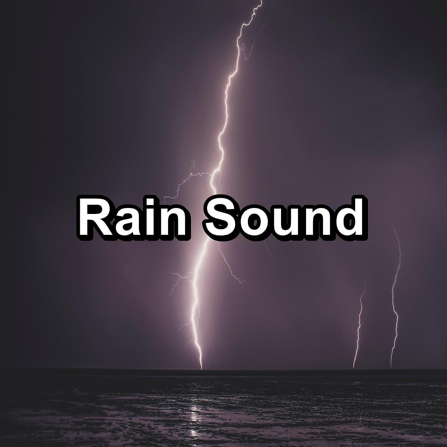 Постер альбома Rain Sound