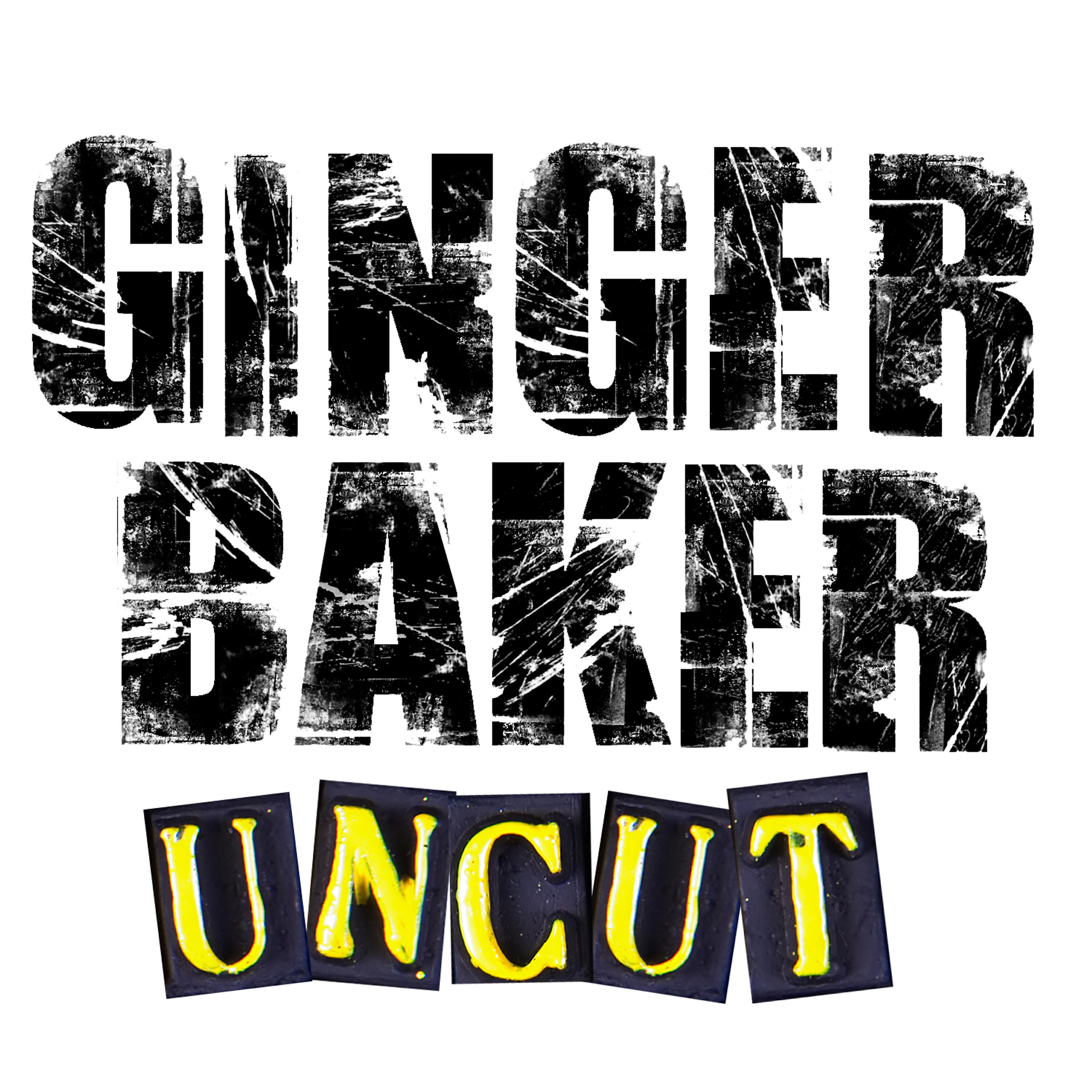 Ginger Baker - Dust To Dust