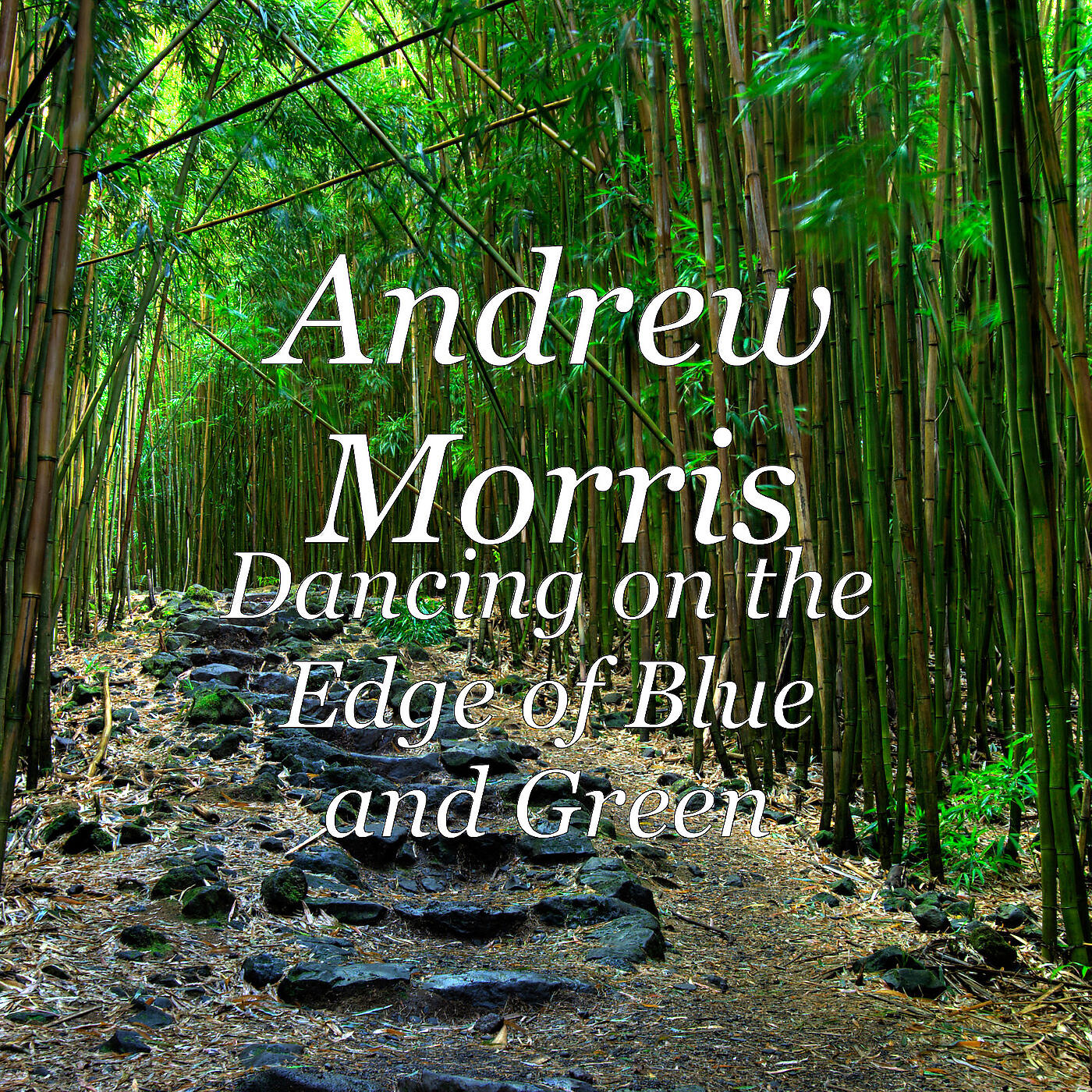 Andrew Morris - Dancing on the Edge of Blue and Green