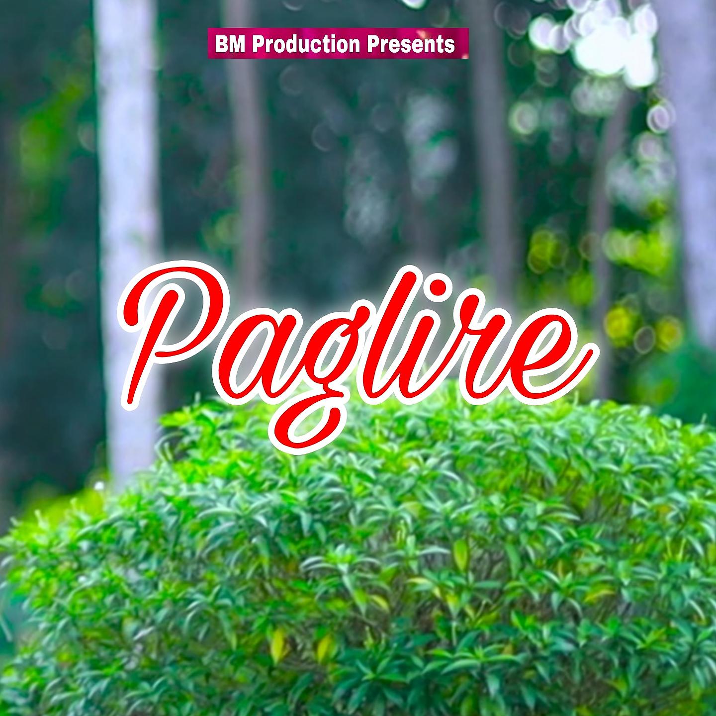Постер альбома Paglire