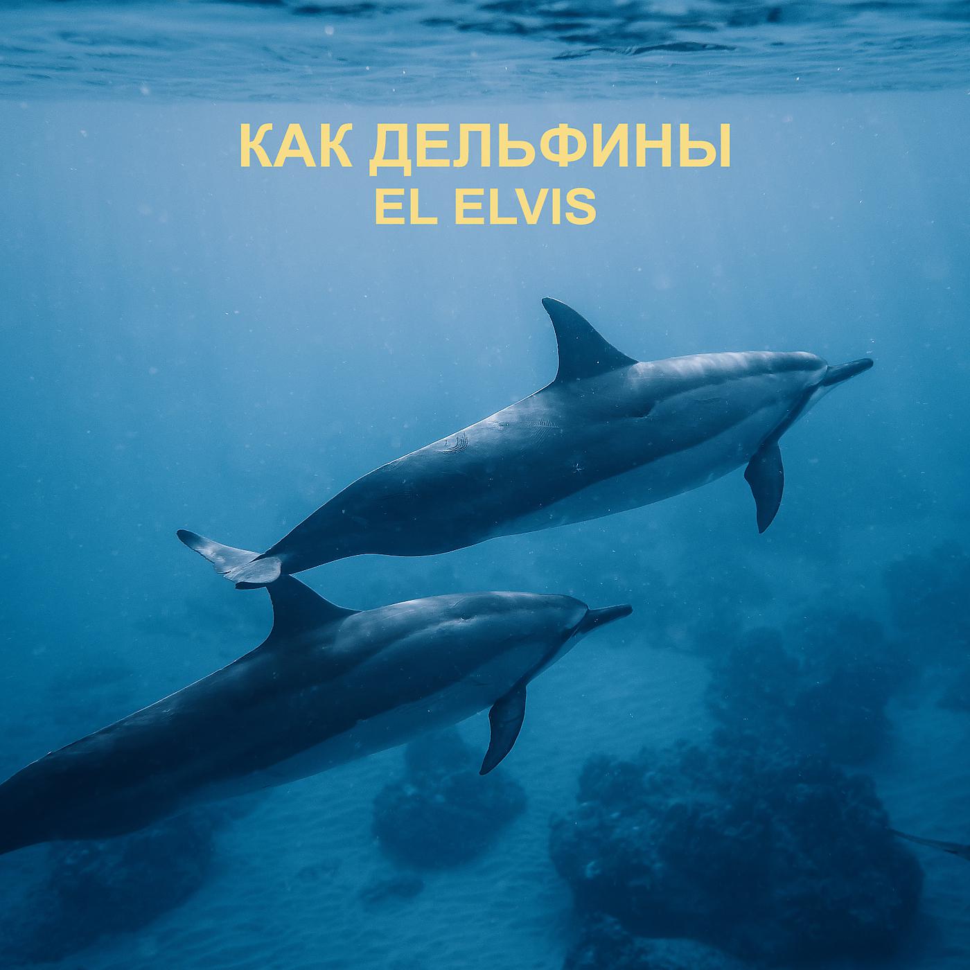 Постер альбома Как дельфины