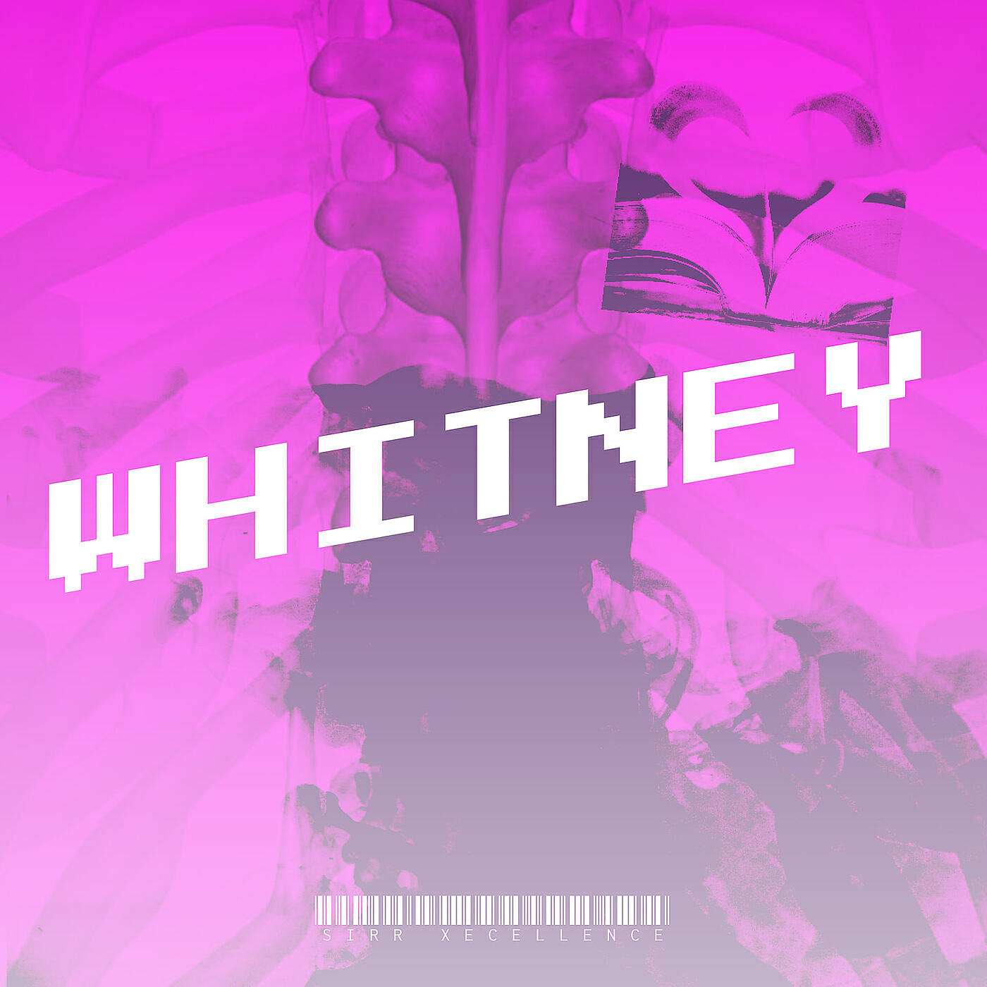 SiRr Xecellence - Whitney