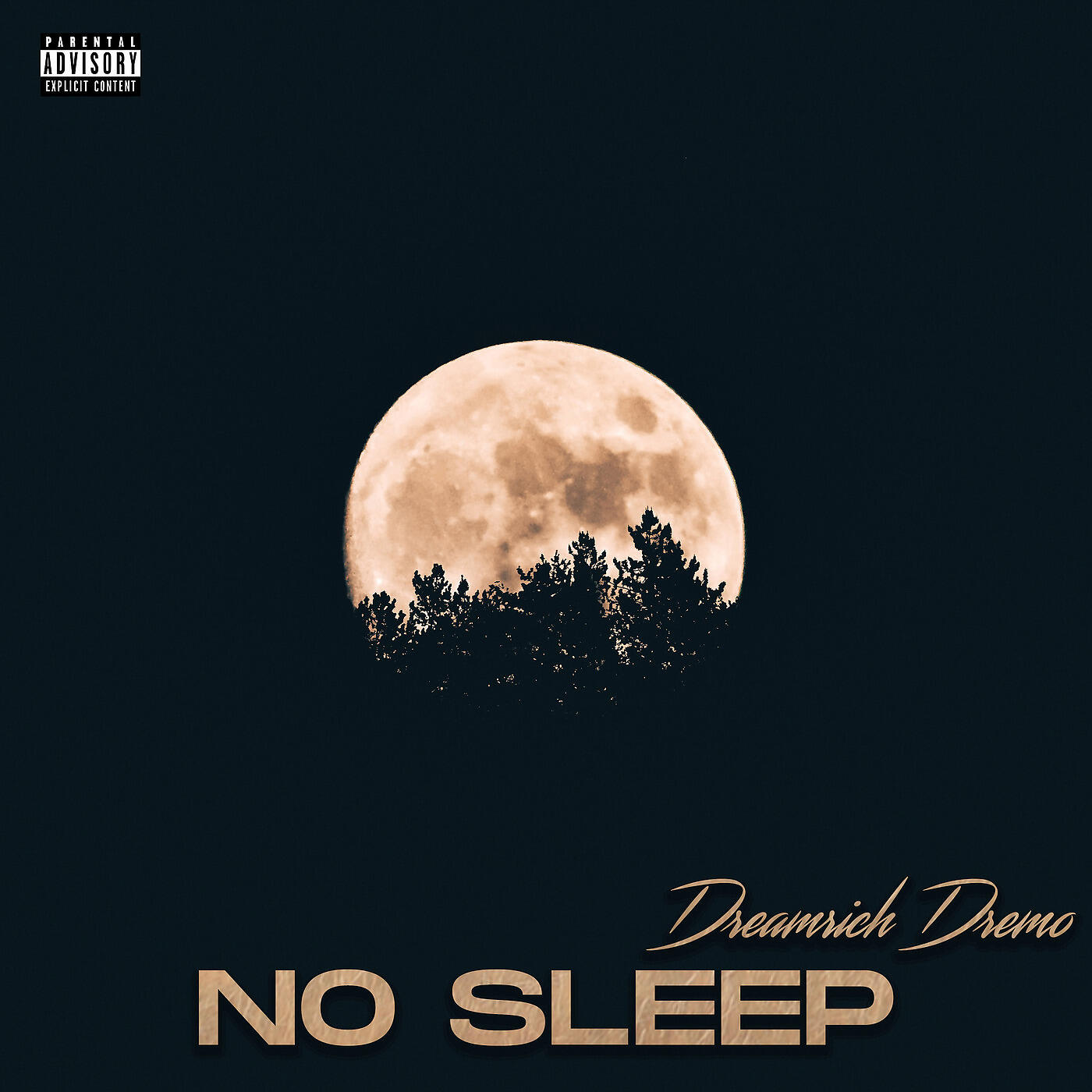 DreamRich DreMo - No Sleep