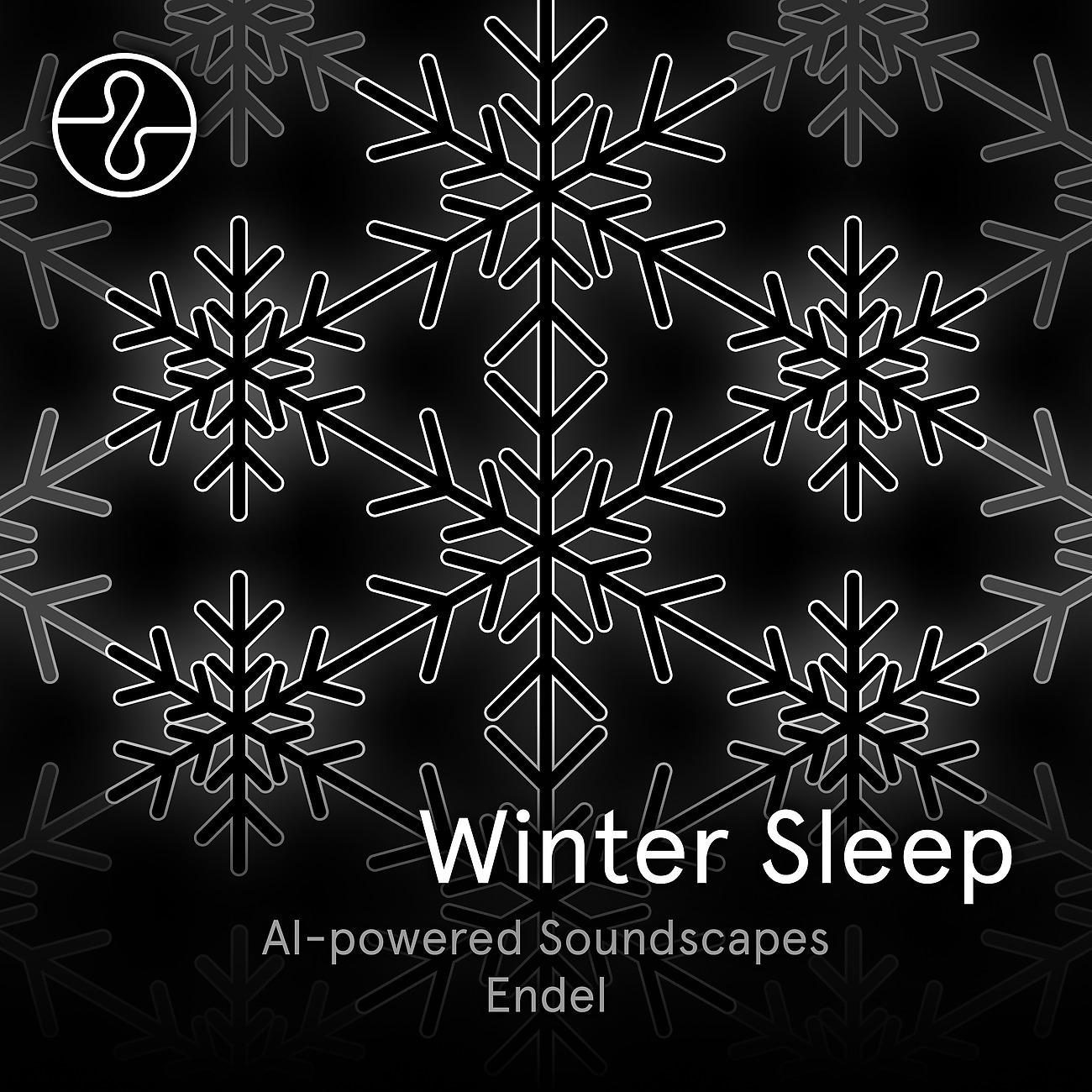 Постер альбома Winter Sleep