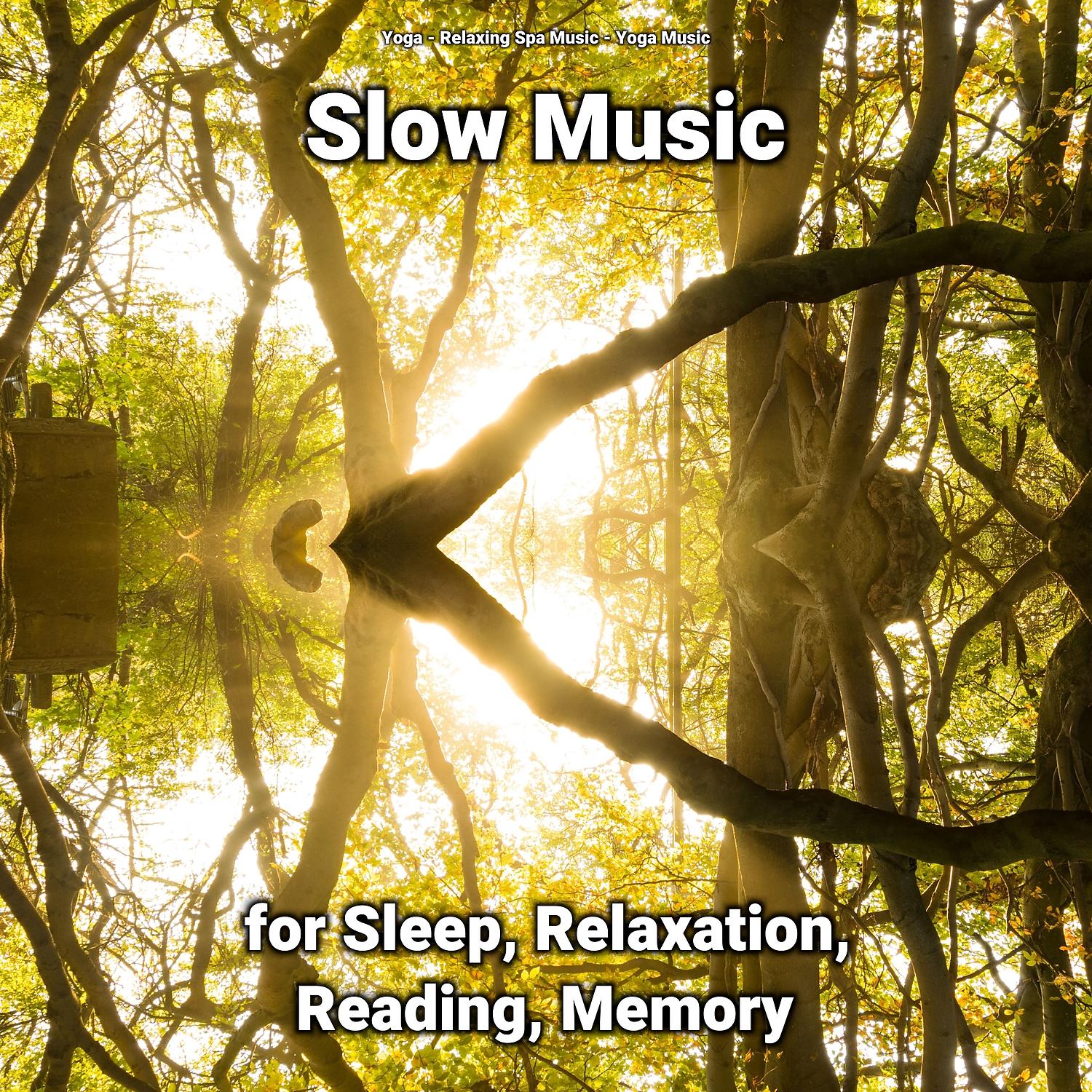 Постер альбома Slow Music for Sleep, Relaxation, Reading, Memory
