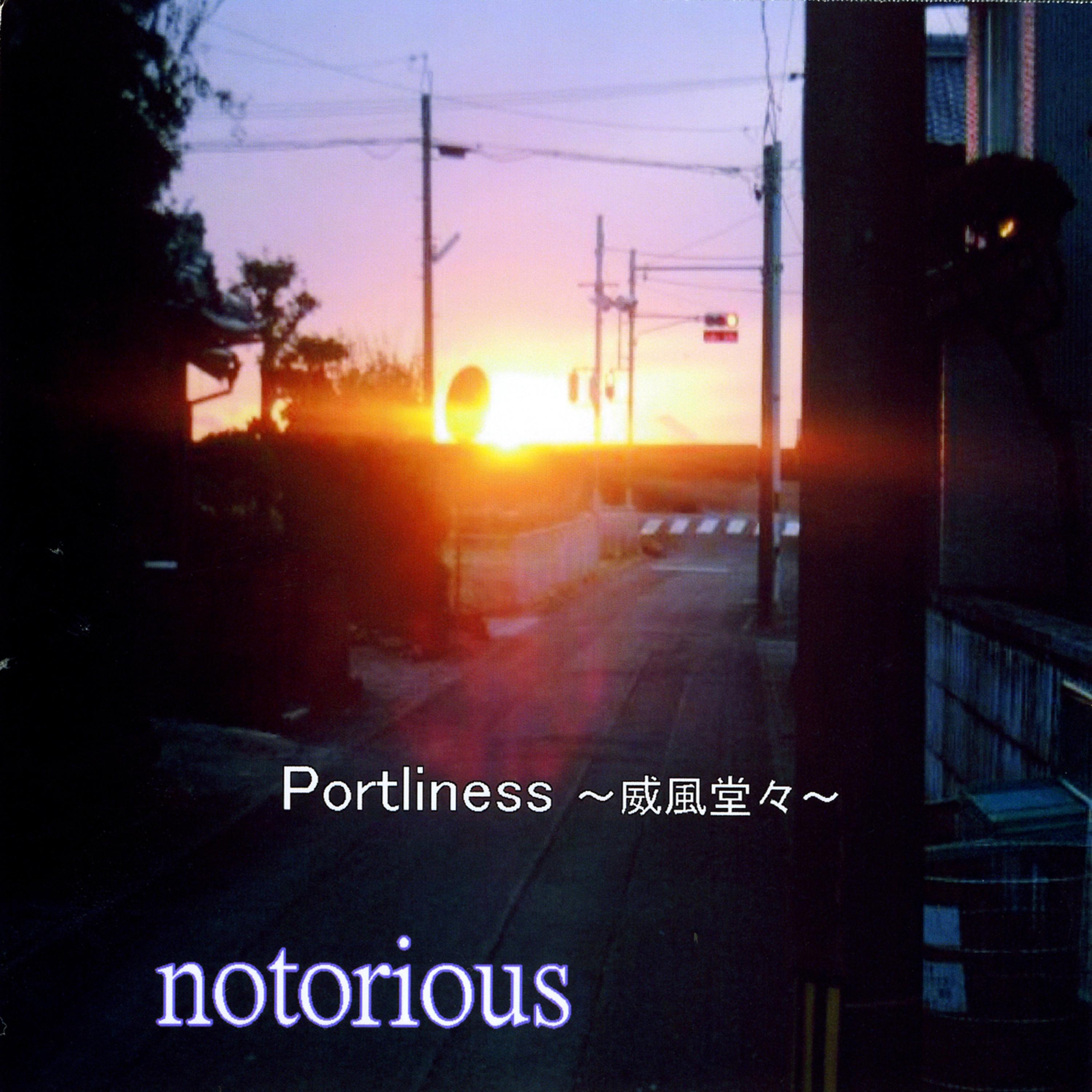 Постер альбома Portliness
