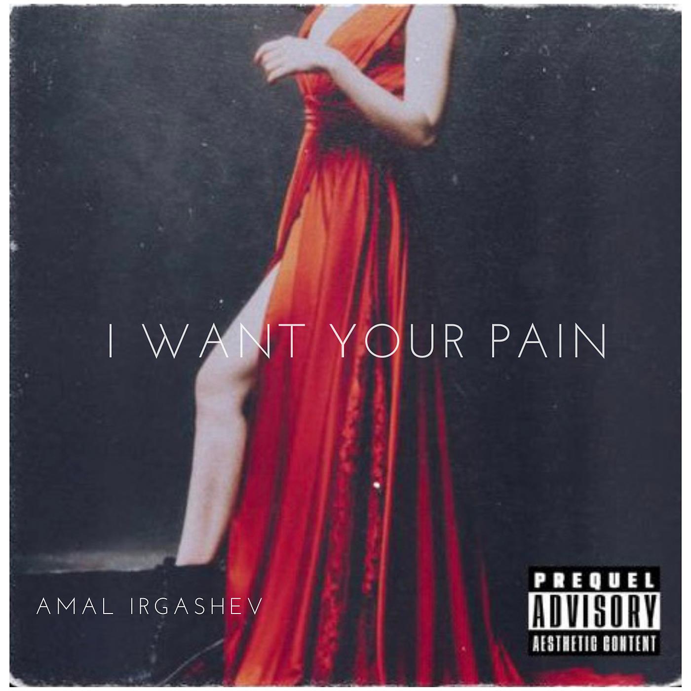 Постер альбома I Want Your Pain