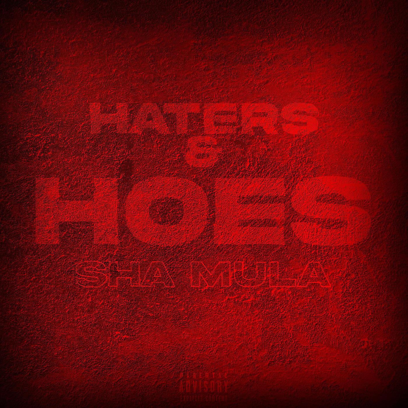 Постер альбома Haters & Hoes