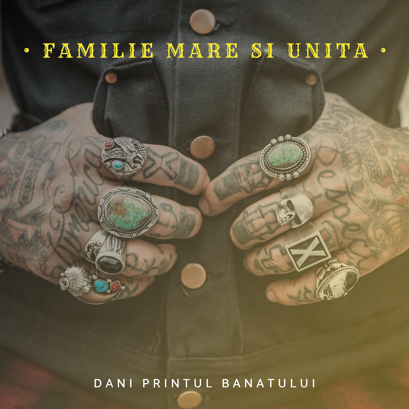 Dani Printul Banatului - Familie Mare Si Unita