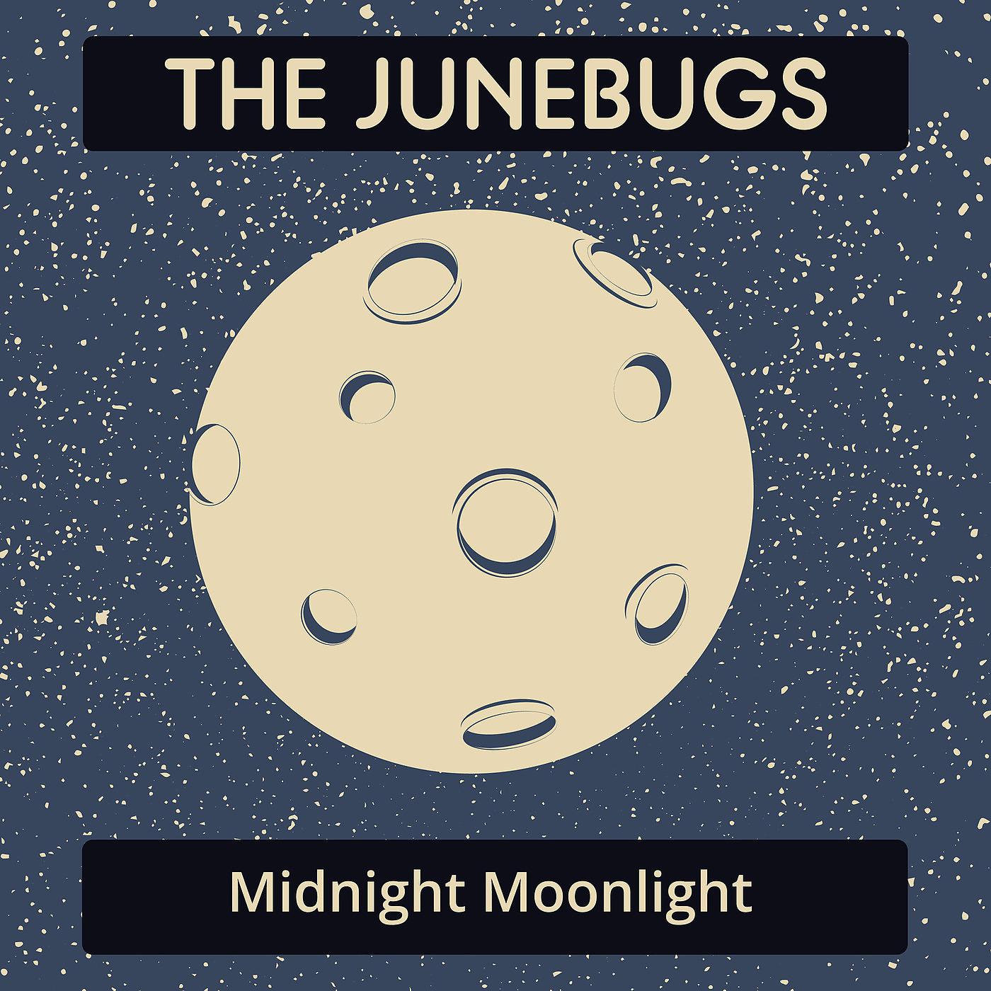 Постер альбома Midnight Moonlight