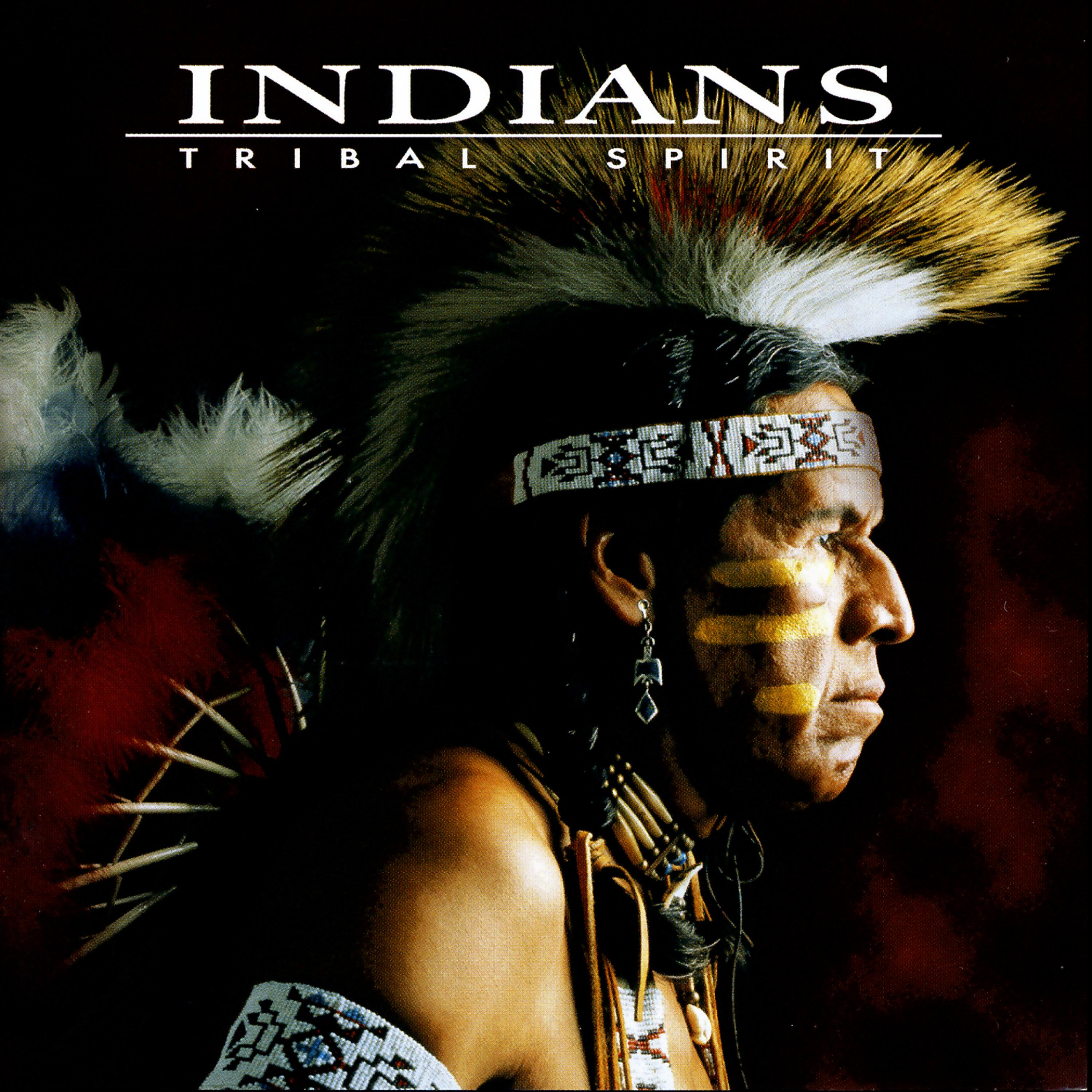 Постер альбома Tribal Spirit
