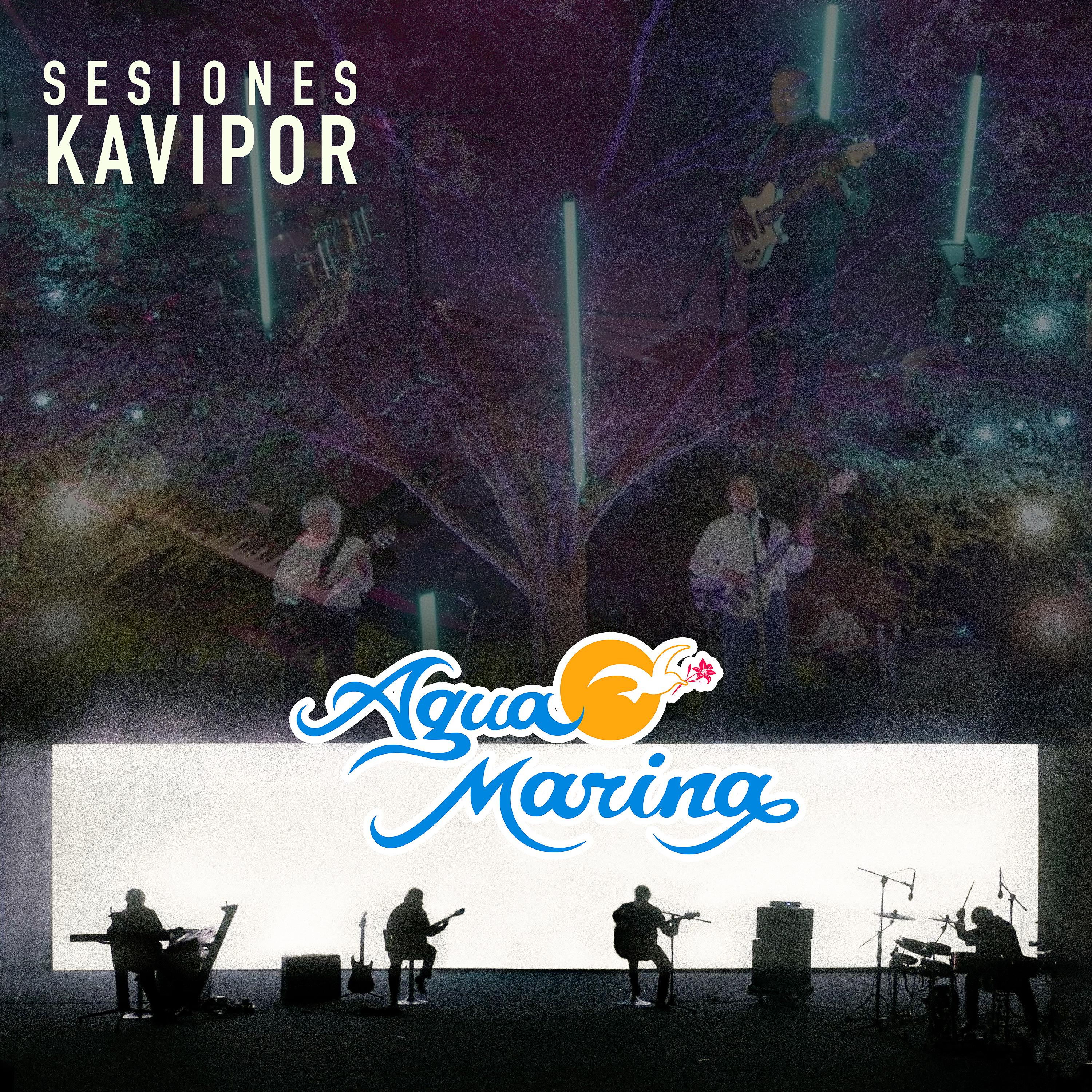 Постер альбома Sesiones Kavipor
