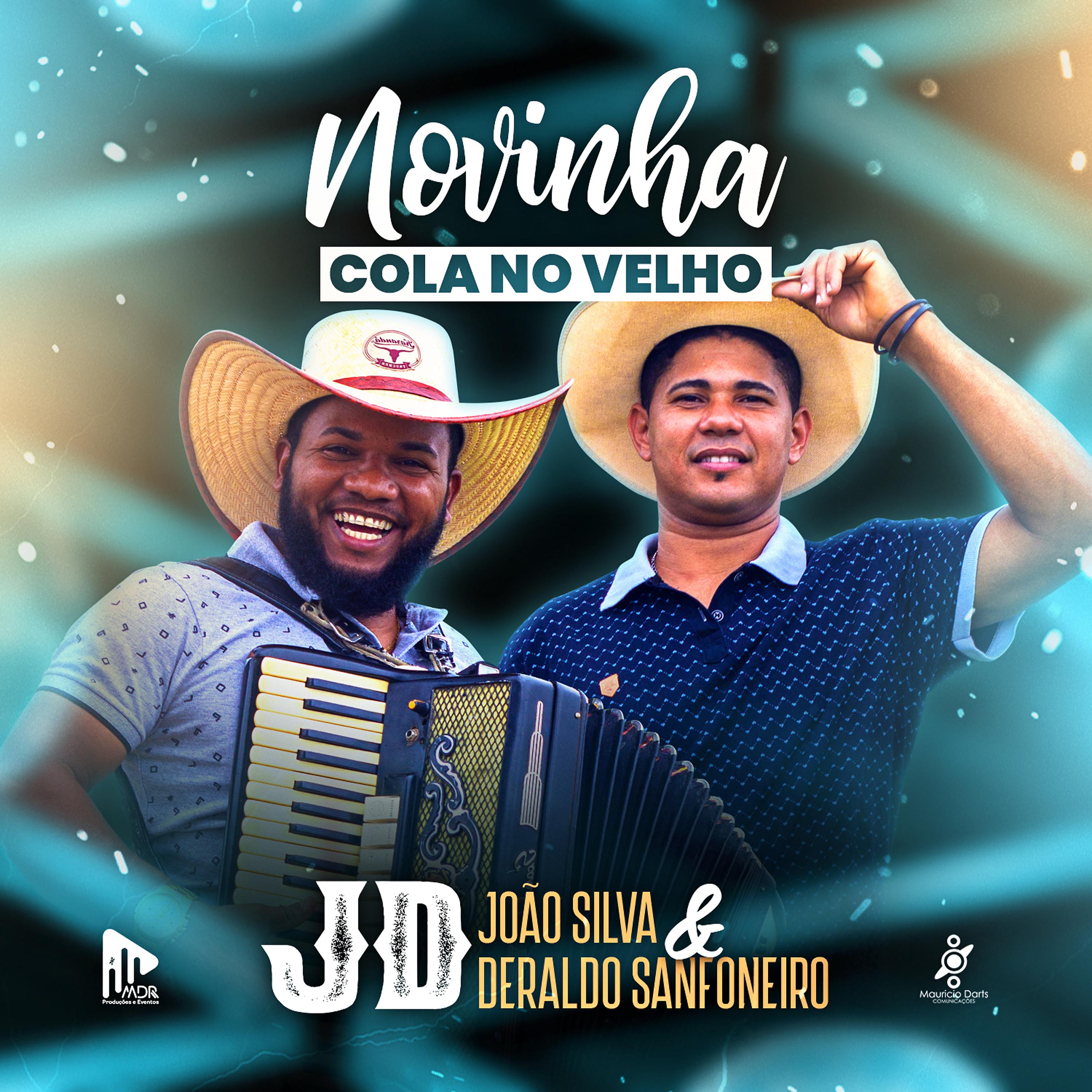Постер альбома Novinha Cola No Velho