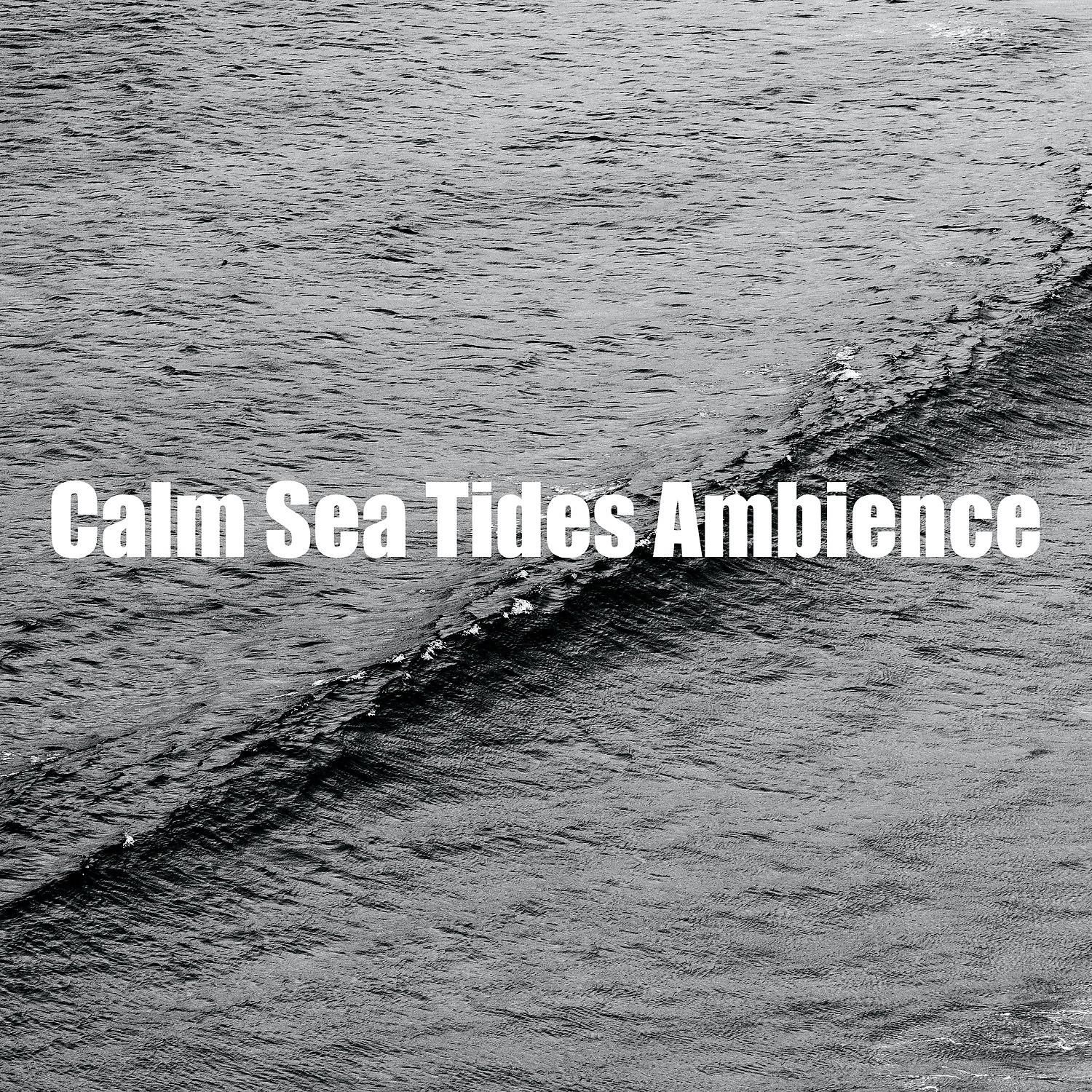 Постер альбома Calm Sea Tides Ambience