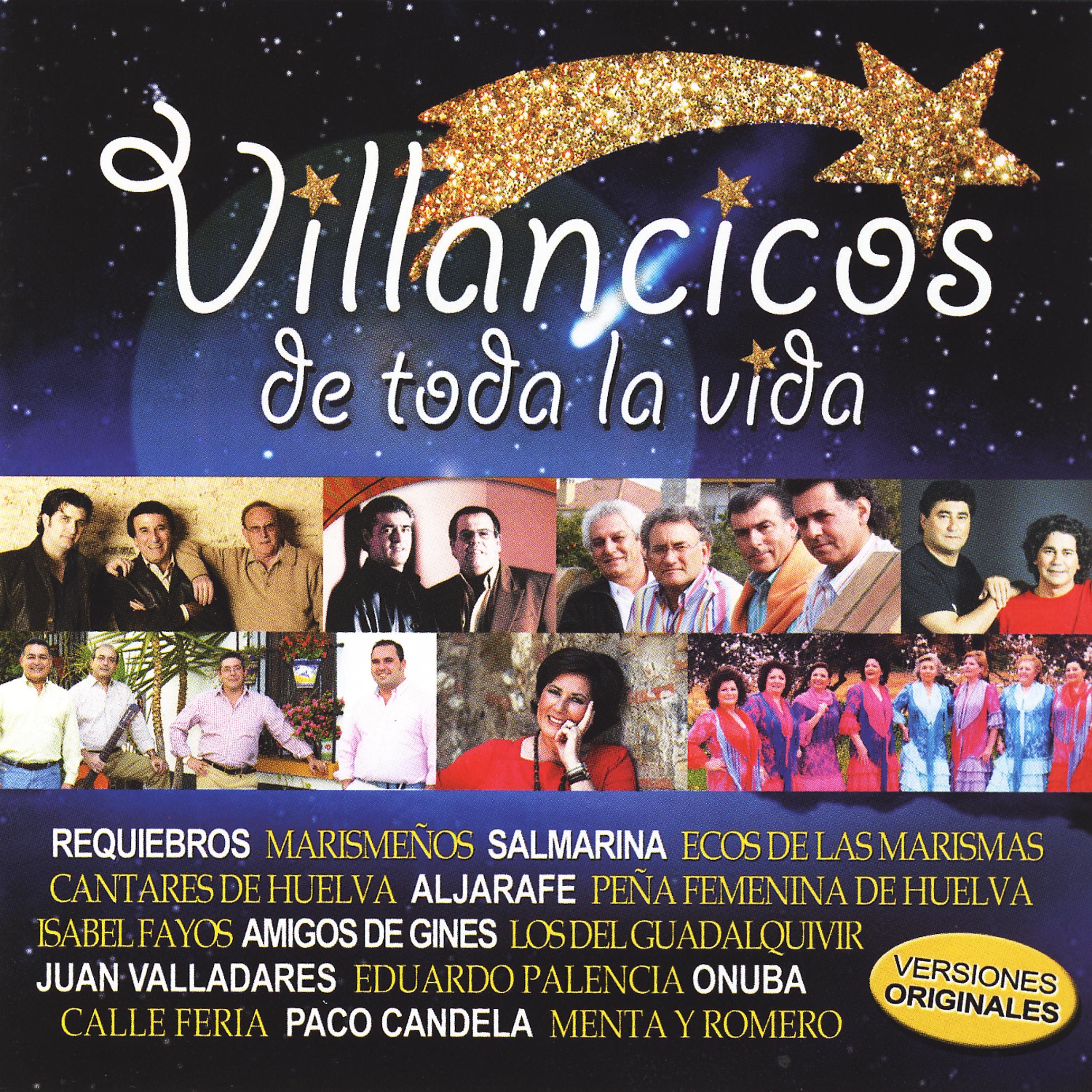 Постер альбома Villancicos de Toda la Vida