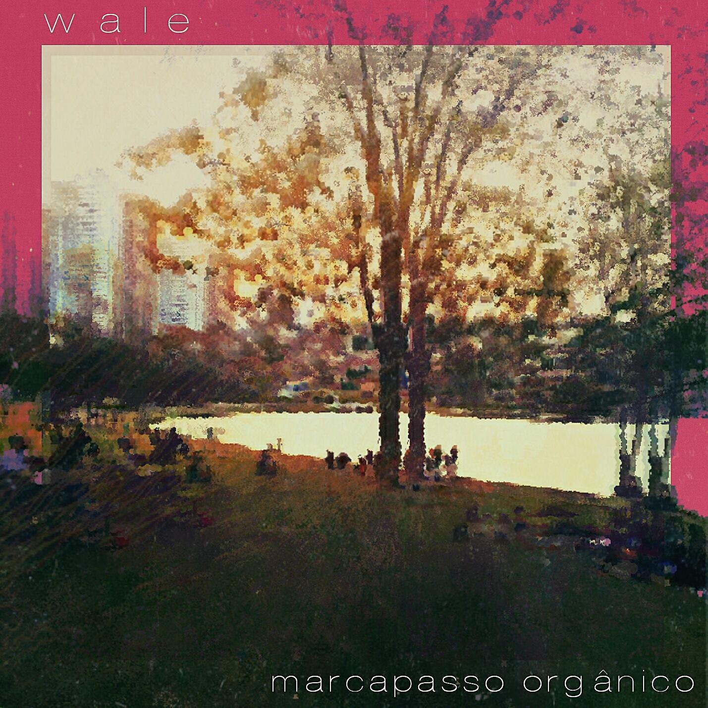 Wale - Buraco Negro