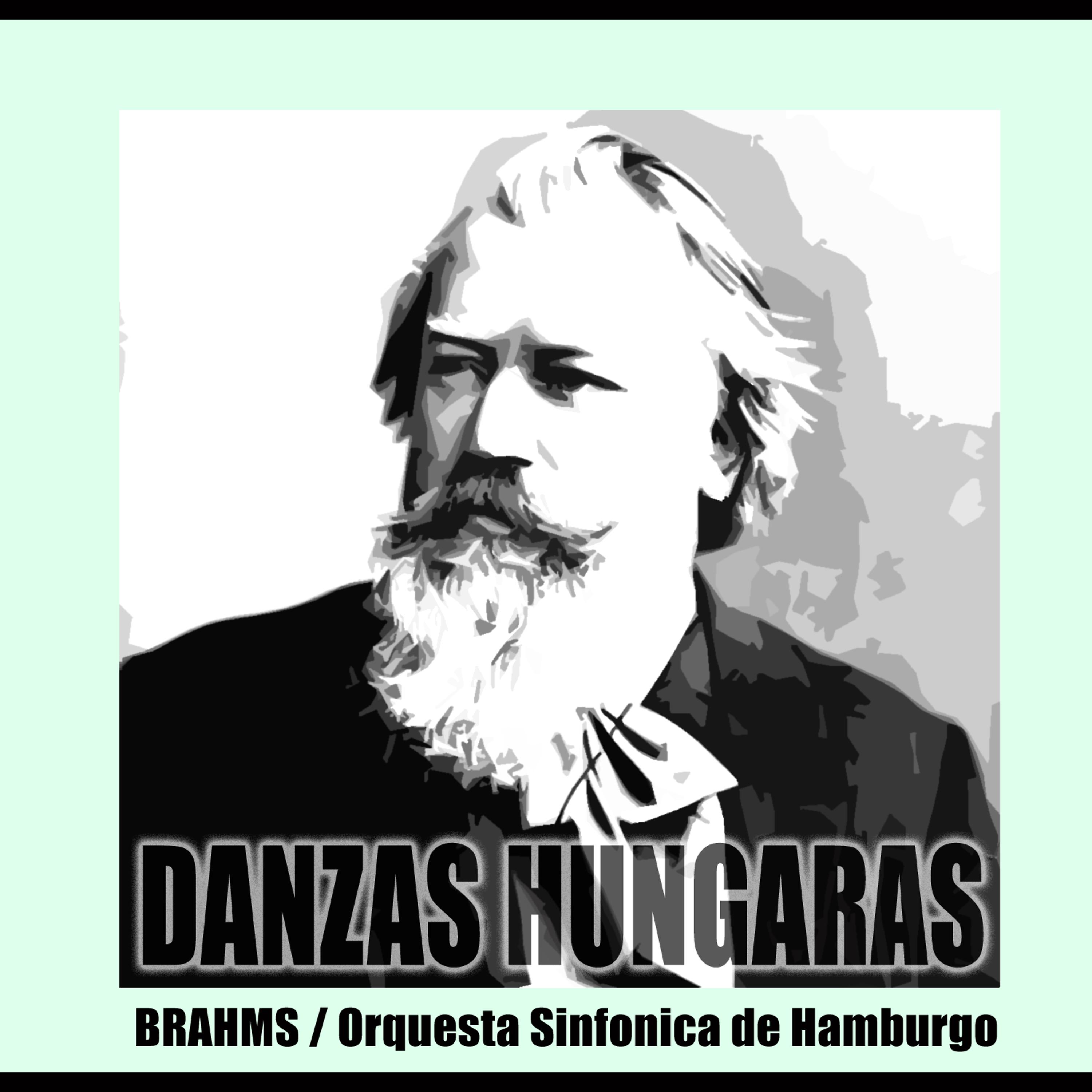 Постер альбома Danzas Hungaras