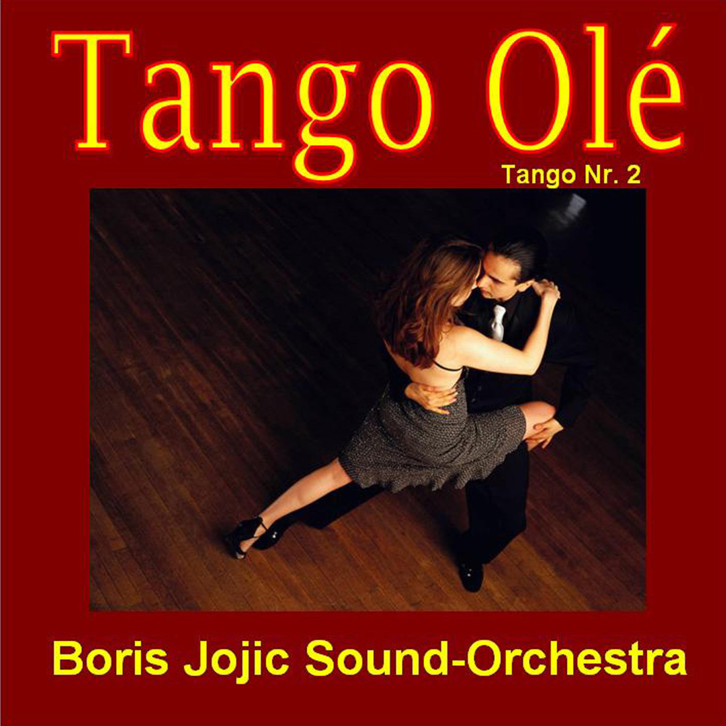 Постер альбома Tango Olé / Tango Nr.2