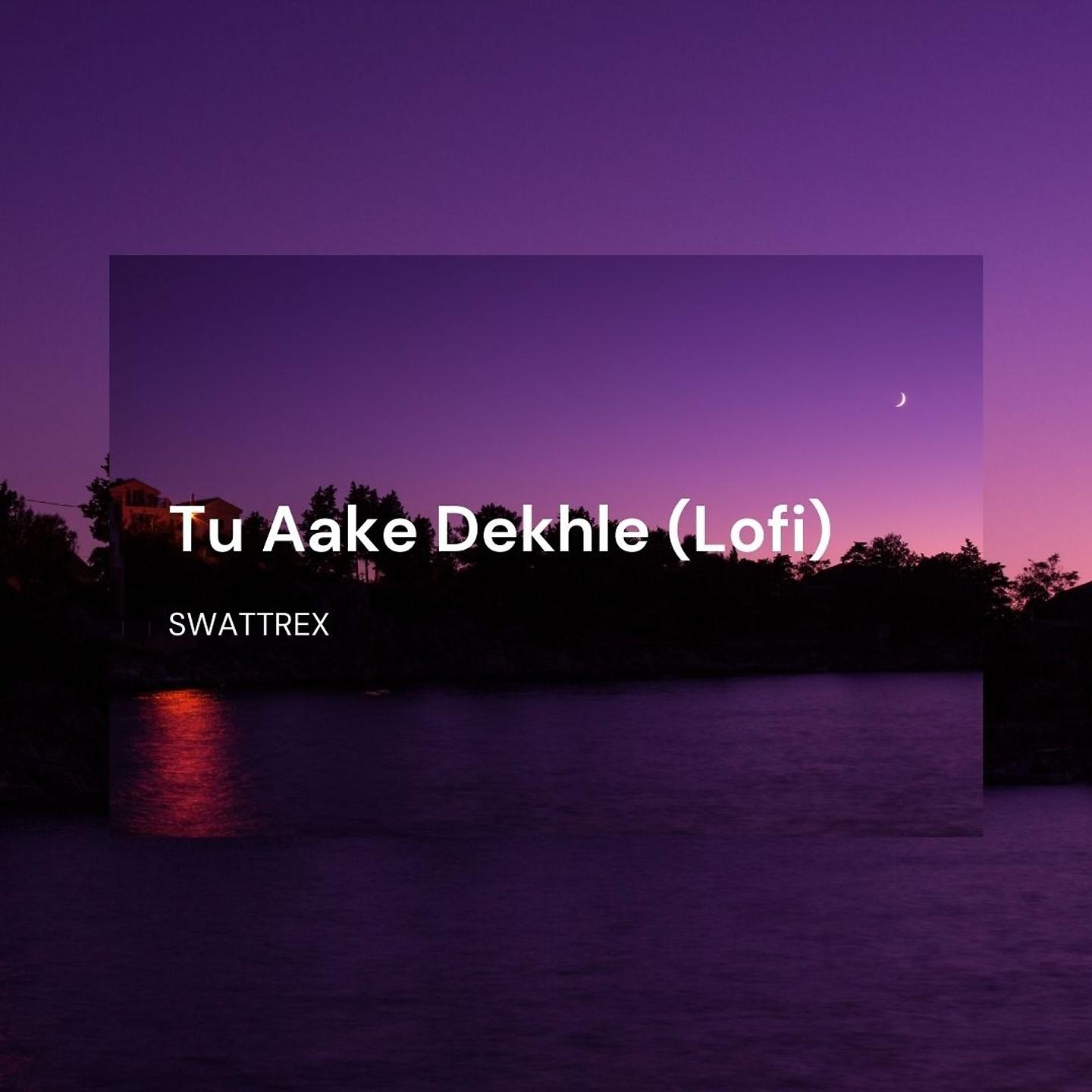 Постер альбома Tu Aake Dekhle