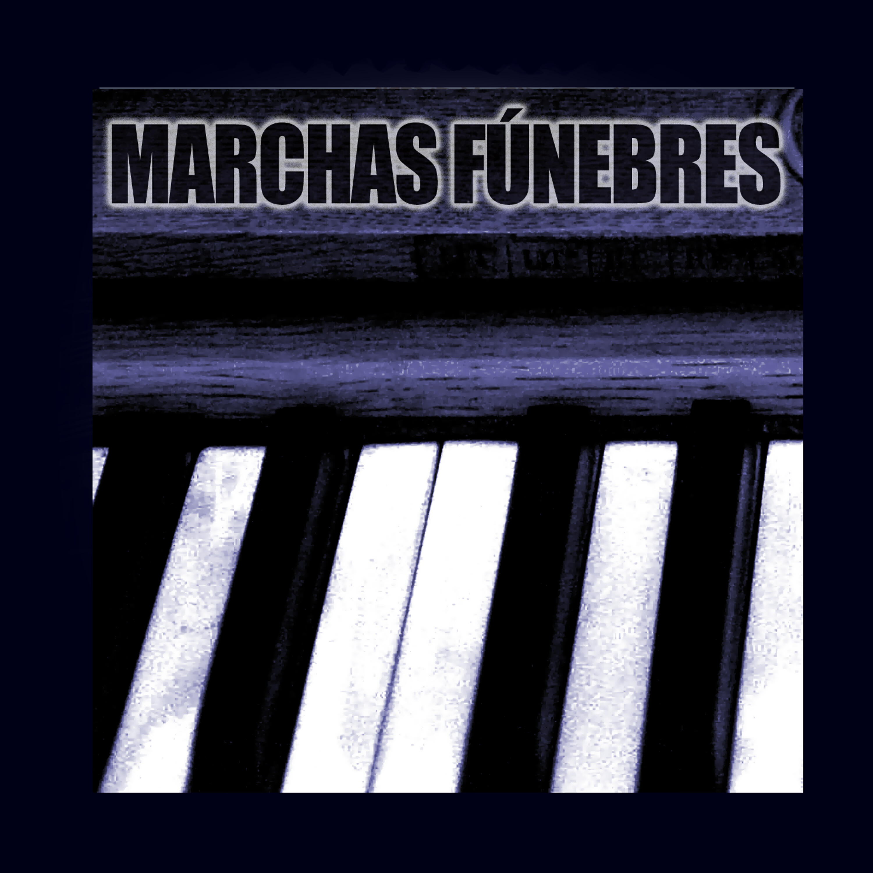 VARIOUS ARTISTS - Sinfonía Nº5 1er Mov. Trauermarsch. Marcha Fúnebre