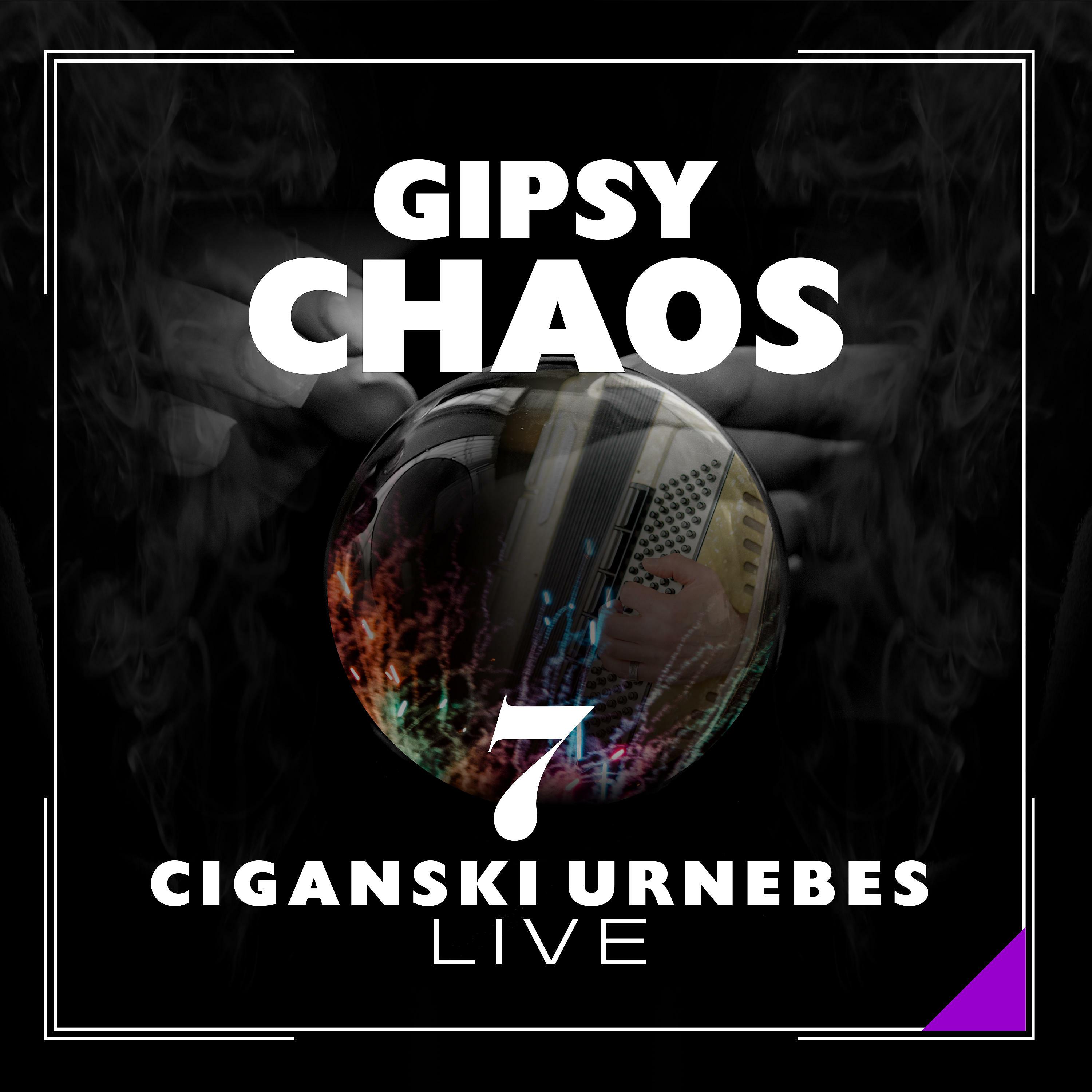Постер альбома Gipsy Chaos - Ciganski Urnebes 7