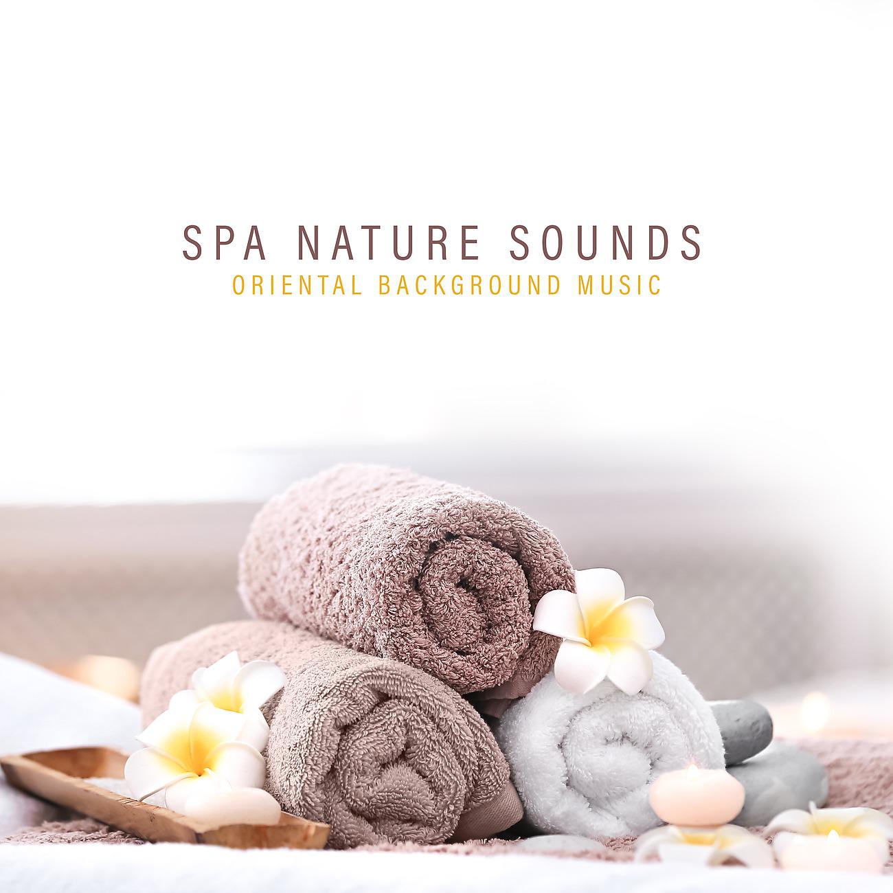 Постер альбома Spa Nature Sounds