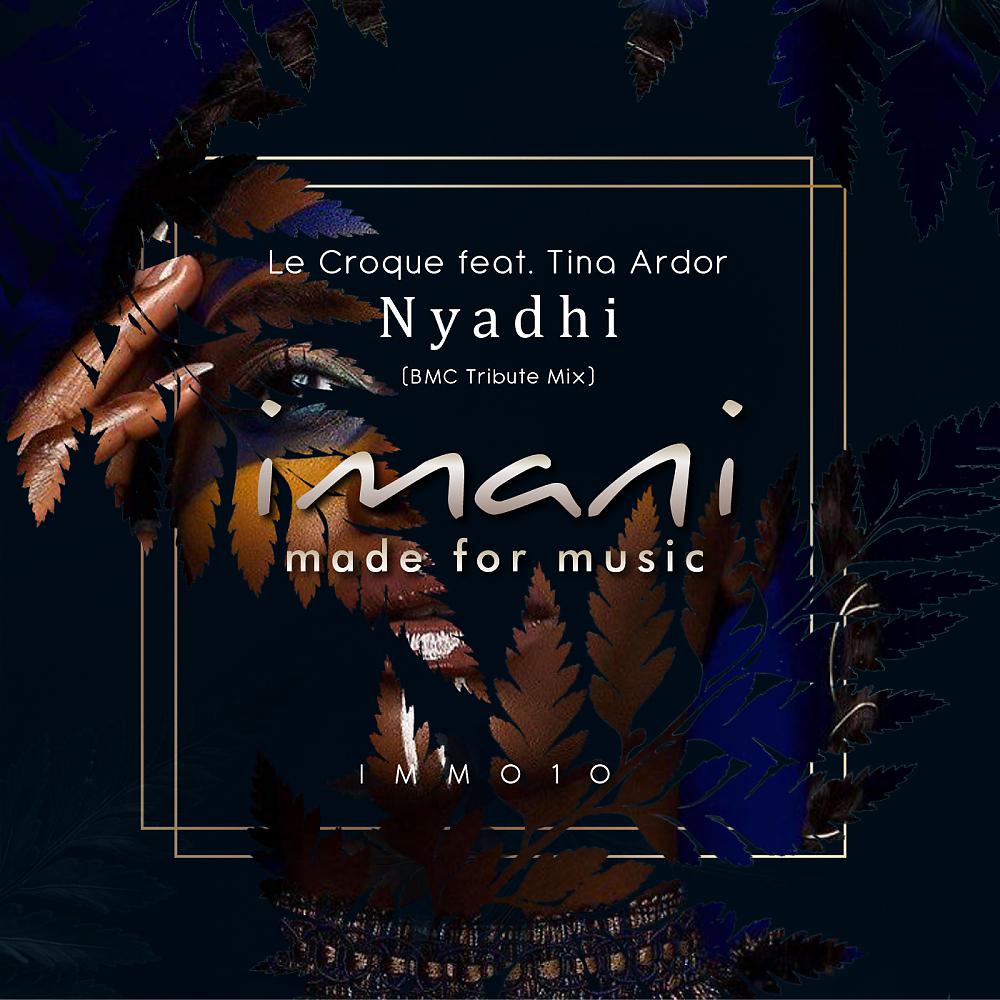 Постер альбома Nyadhi (BMC Tribute Mix)