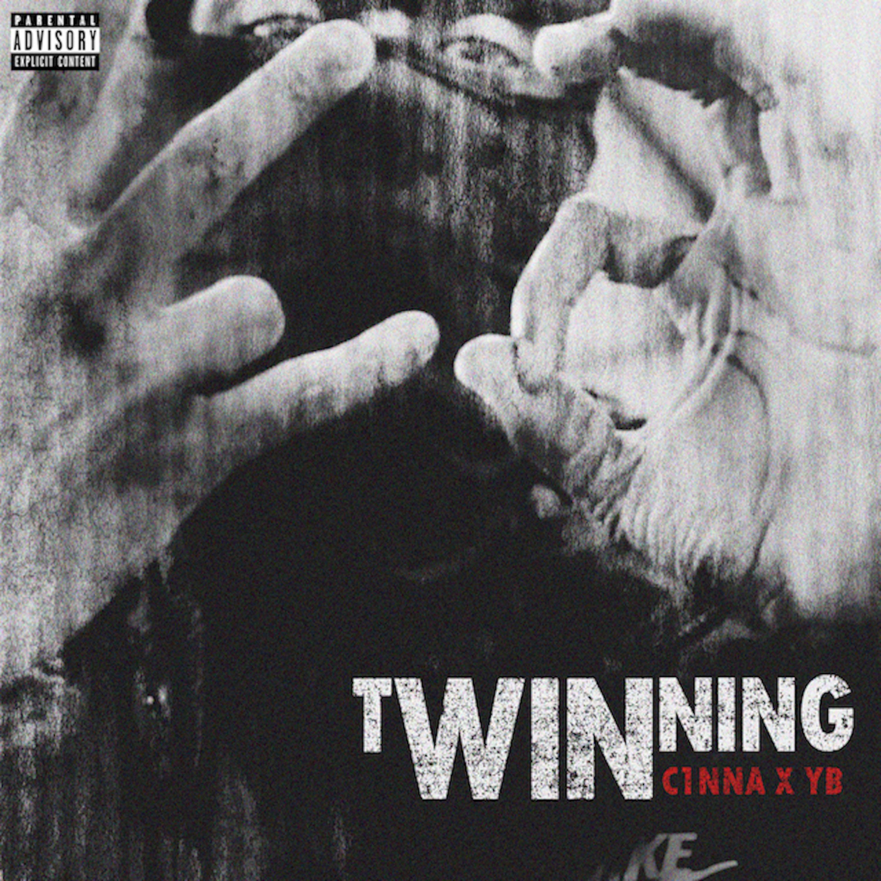 Постер альбома Twinning