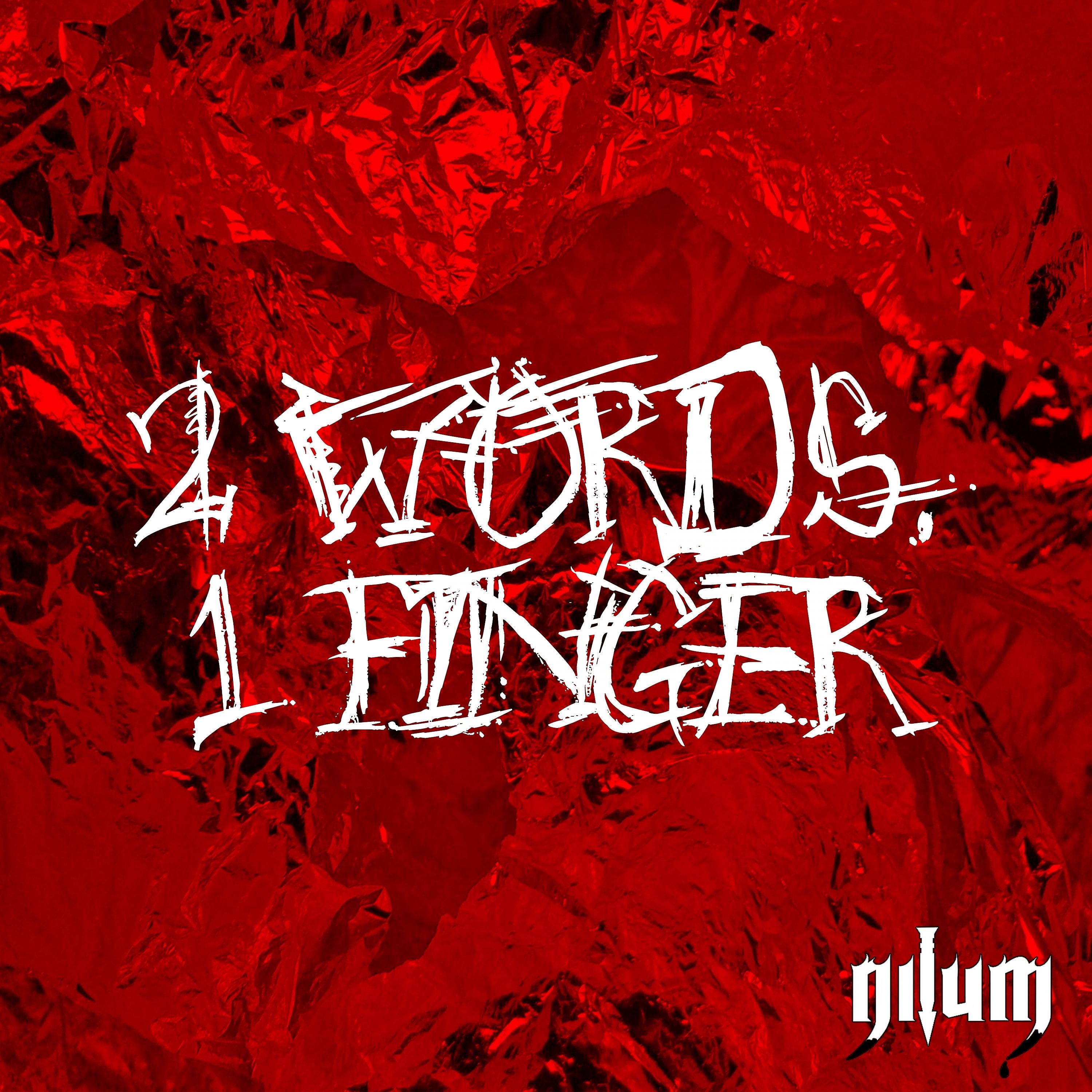 Постер альбома 2 Words, 1 Finger