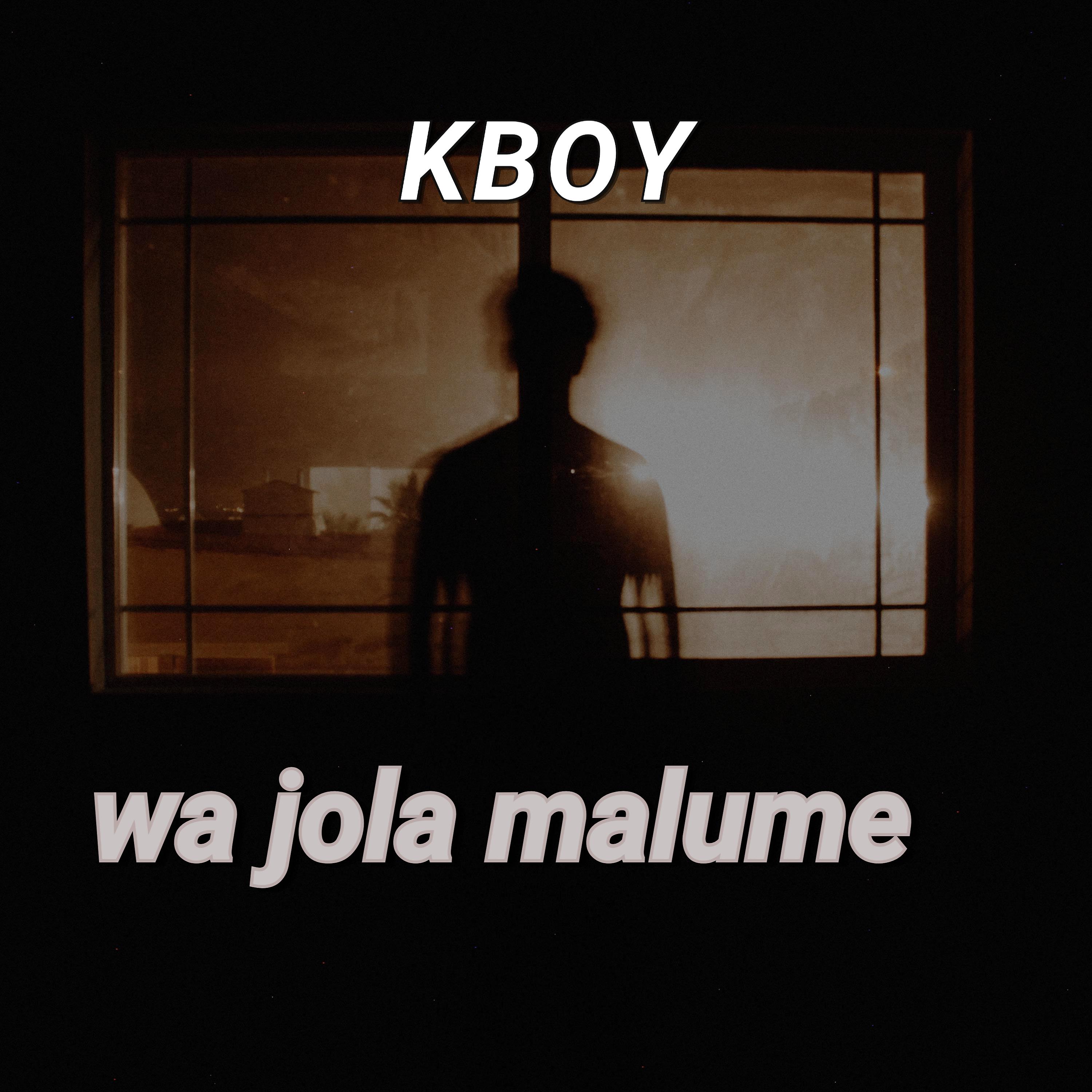 Постер альбома Wa Jola Malume