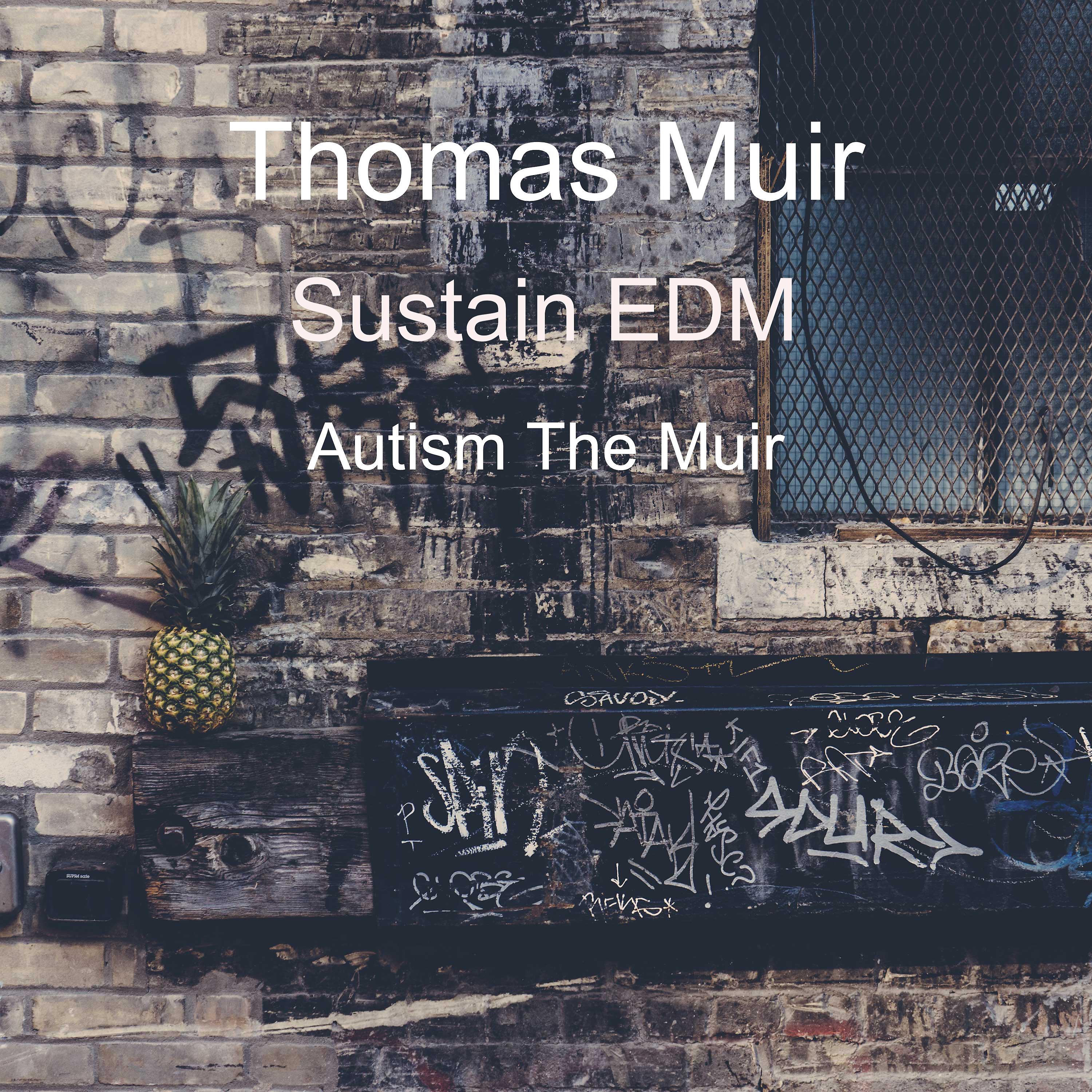 Постер альбома Sustain E.D.M