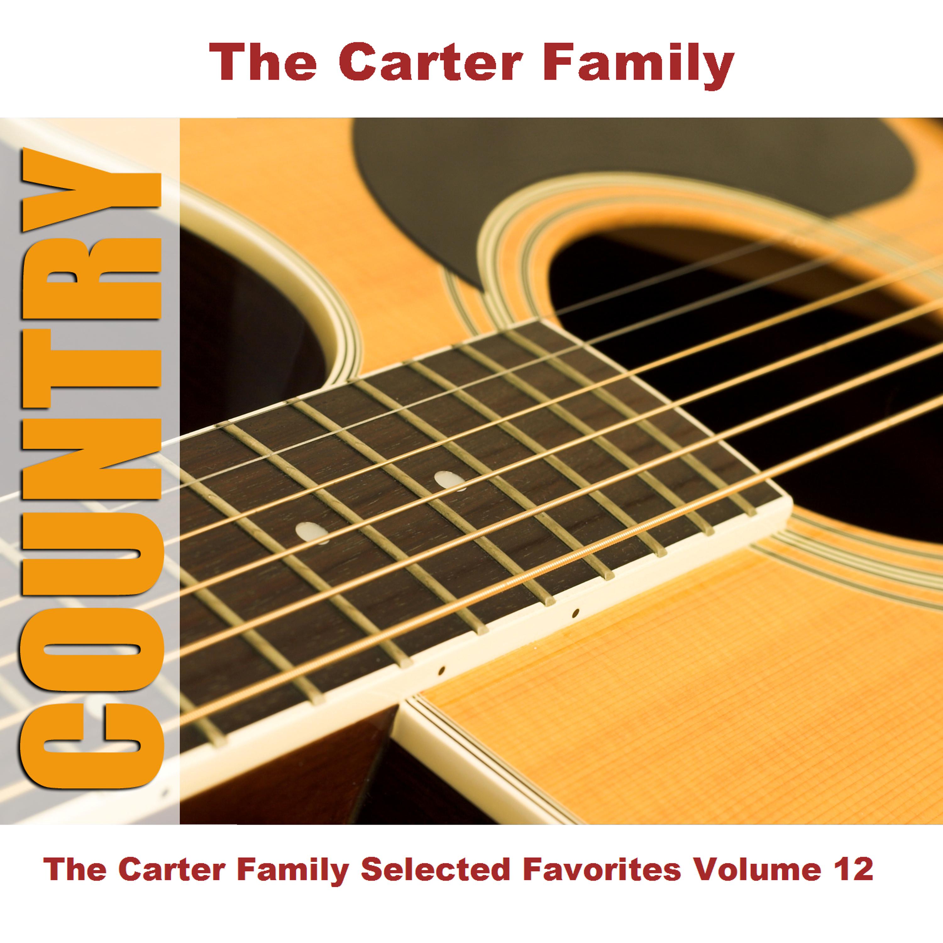 Постер альбома The Carter Family Selected Favorites Volume 12