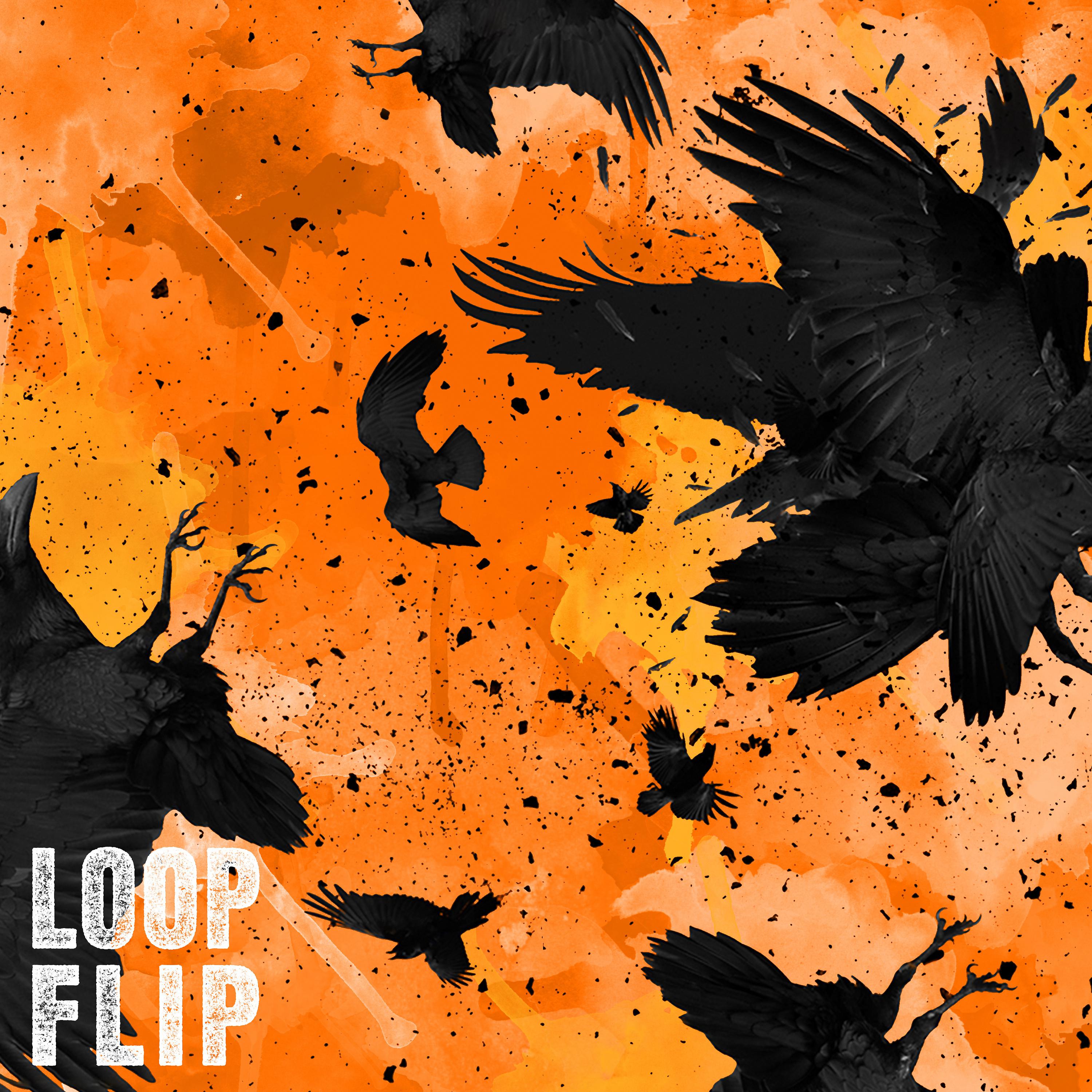Постер альбома Loop Flip
