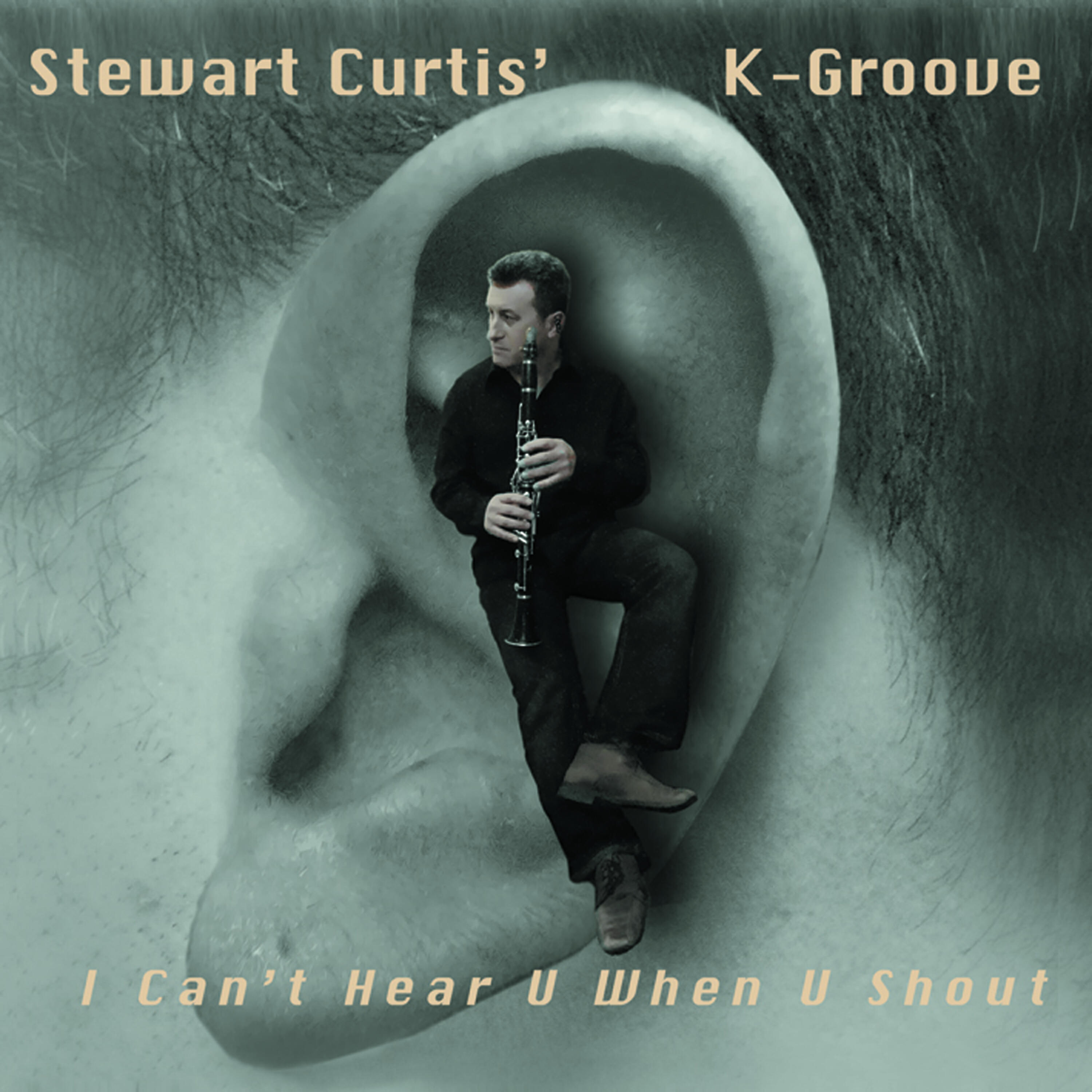 Stewart Curtis - The Last Macaroon