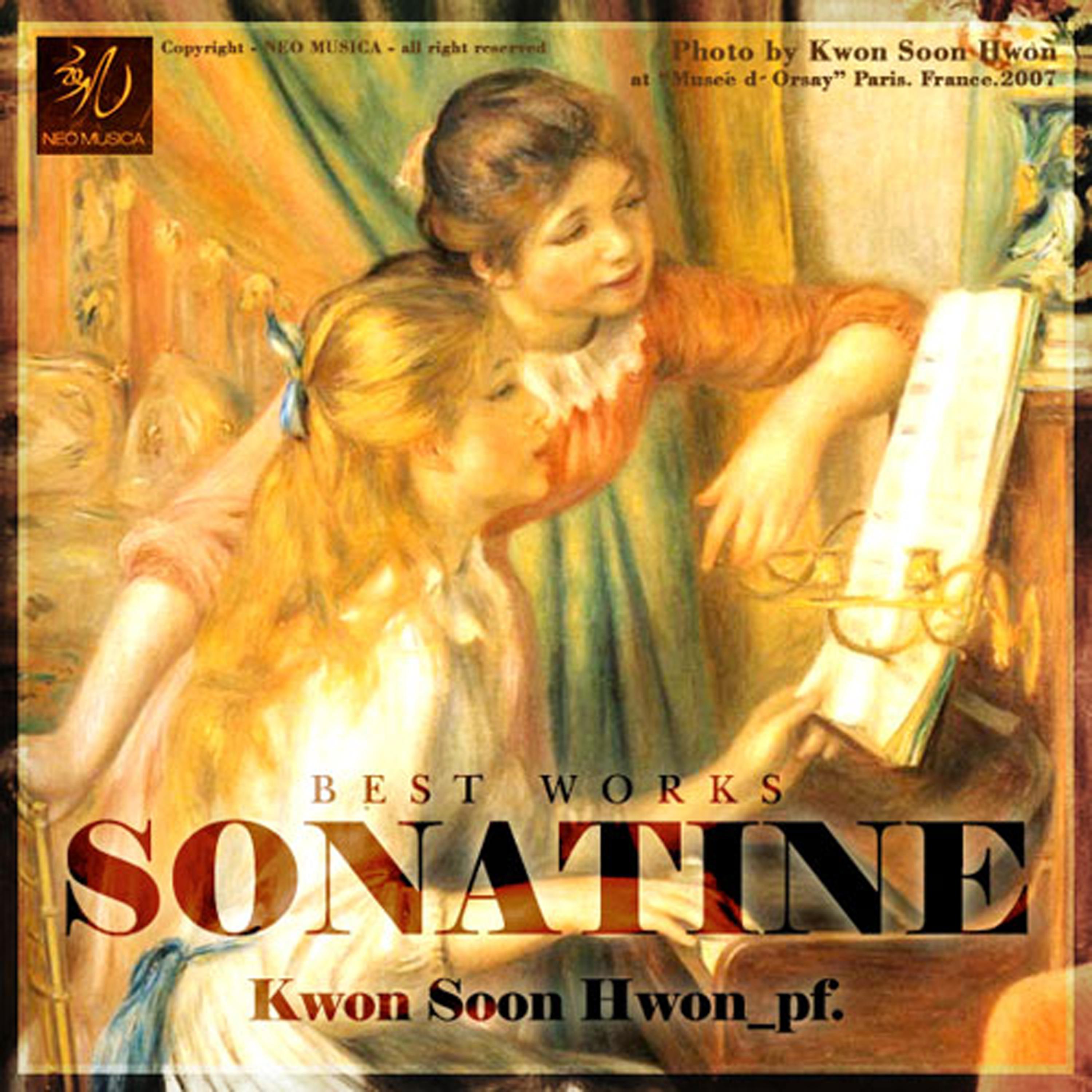 Постер альбома Sonatine Best Works
