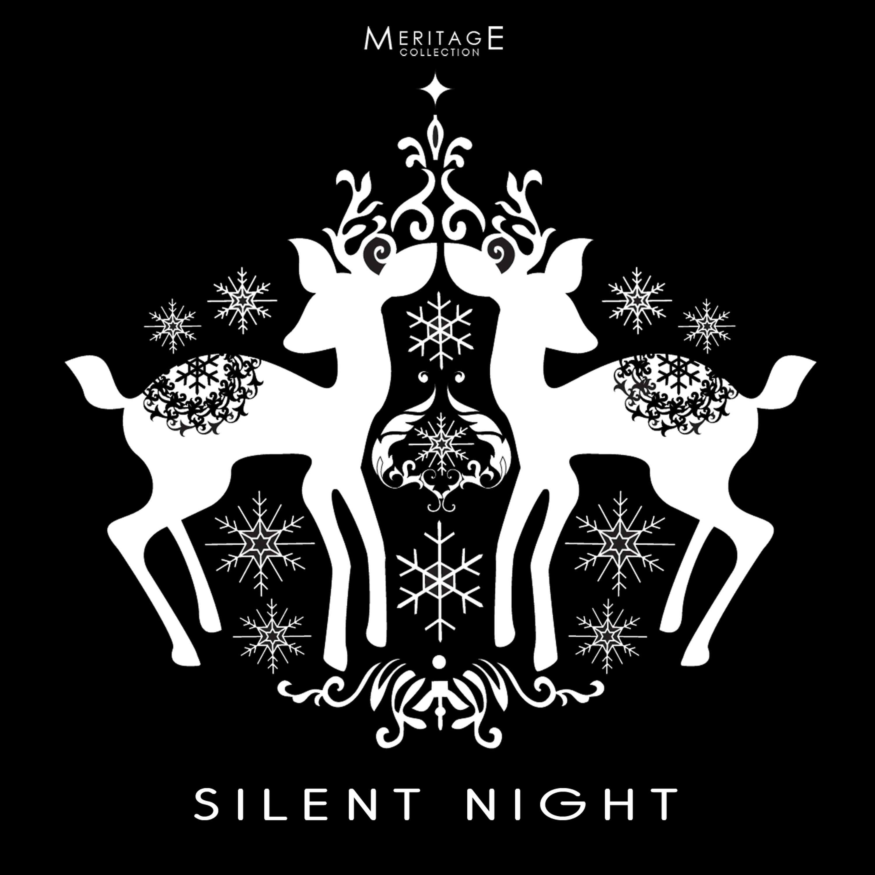 Постер альбома Meritage Christmas: Silent Night