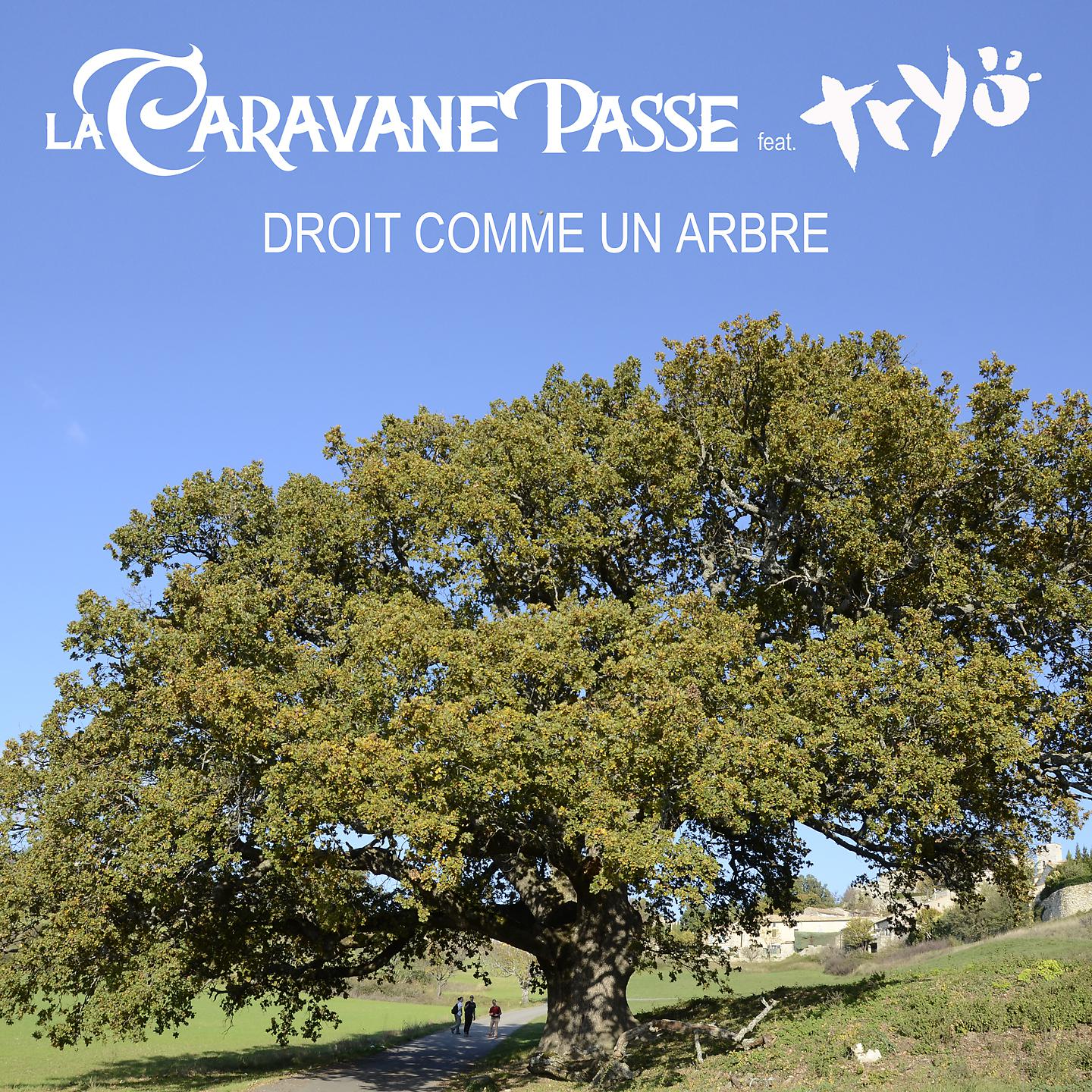 Постер альбома Droit comme un arbre