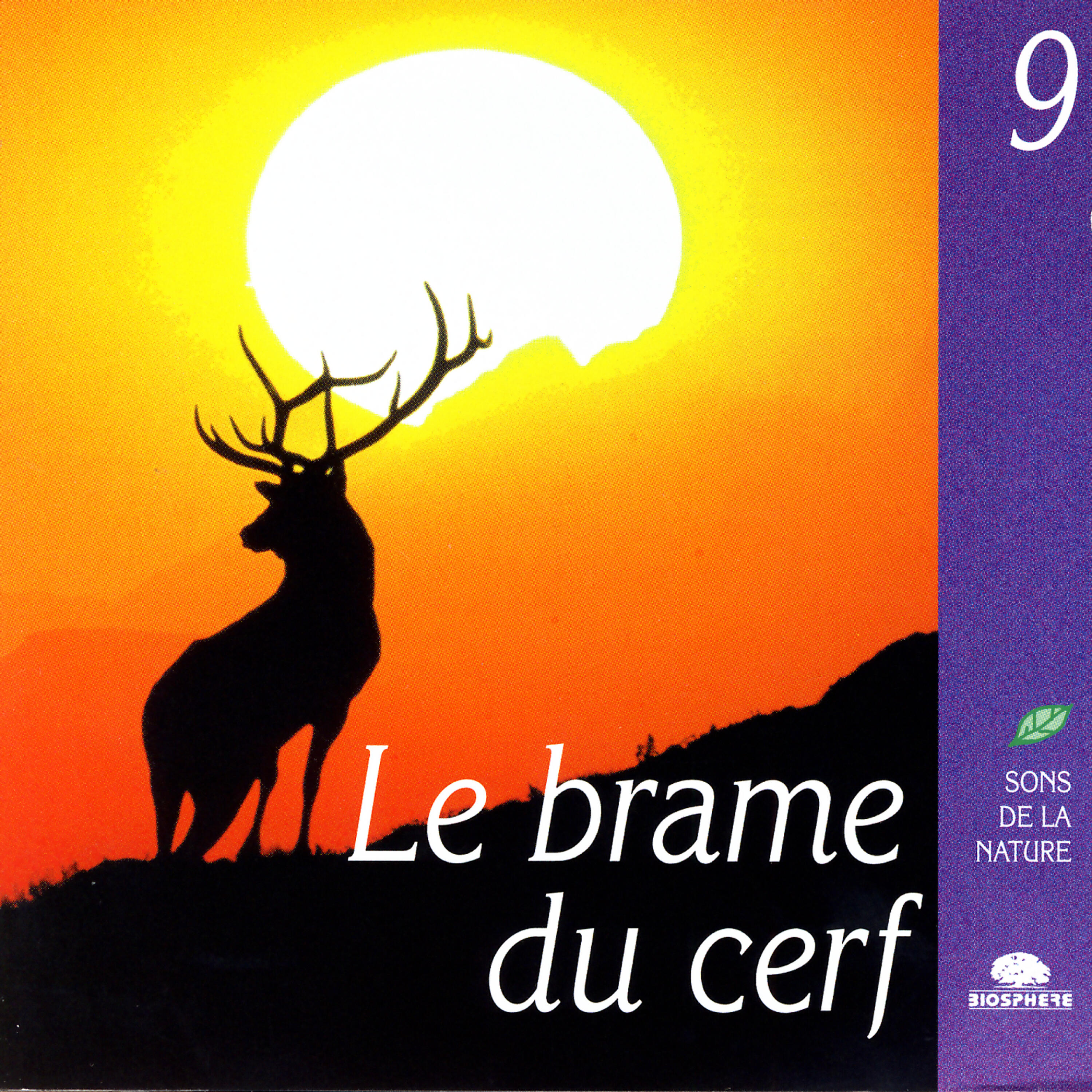 Nature Sounds - Sons de la nature - Un Grand Cerf Brame En Marchant