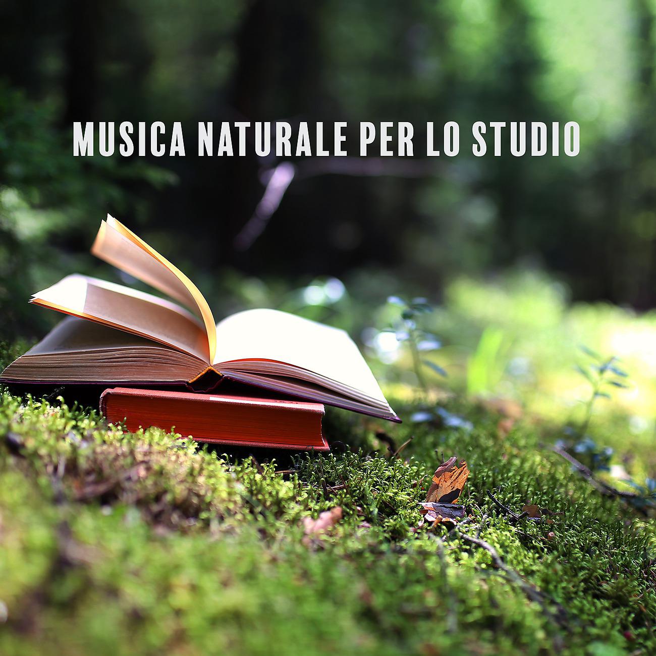 Постер альбома Musica naturale per lo studio